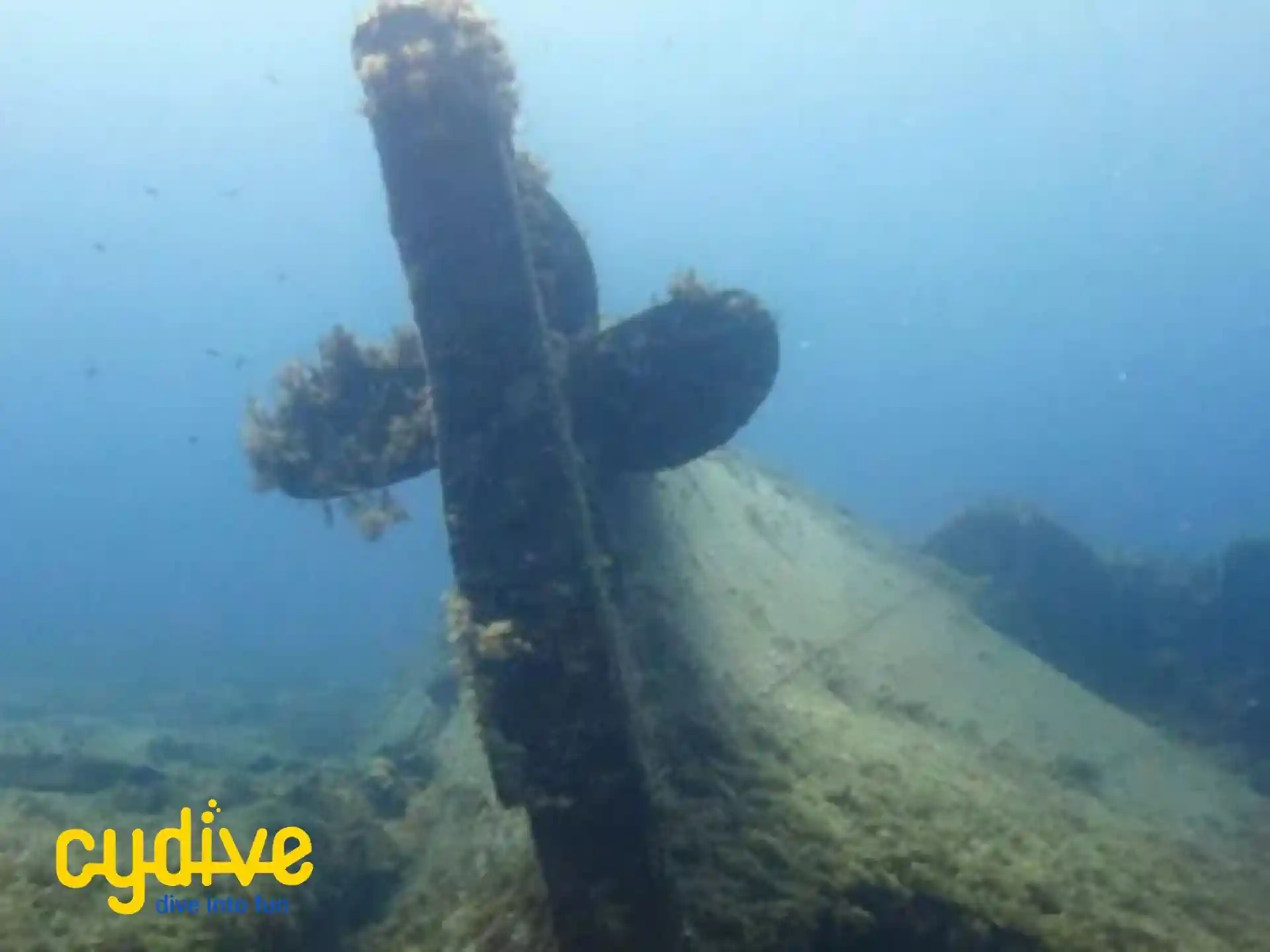 Photo du site de plongée