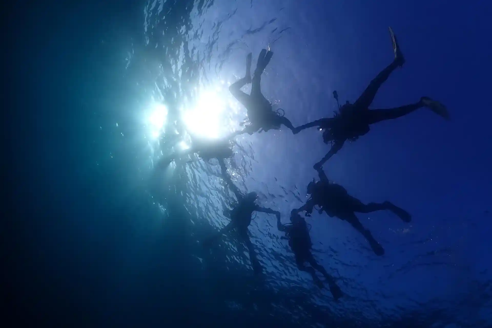 Dive shop photo