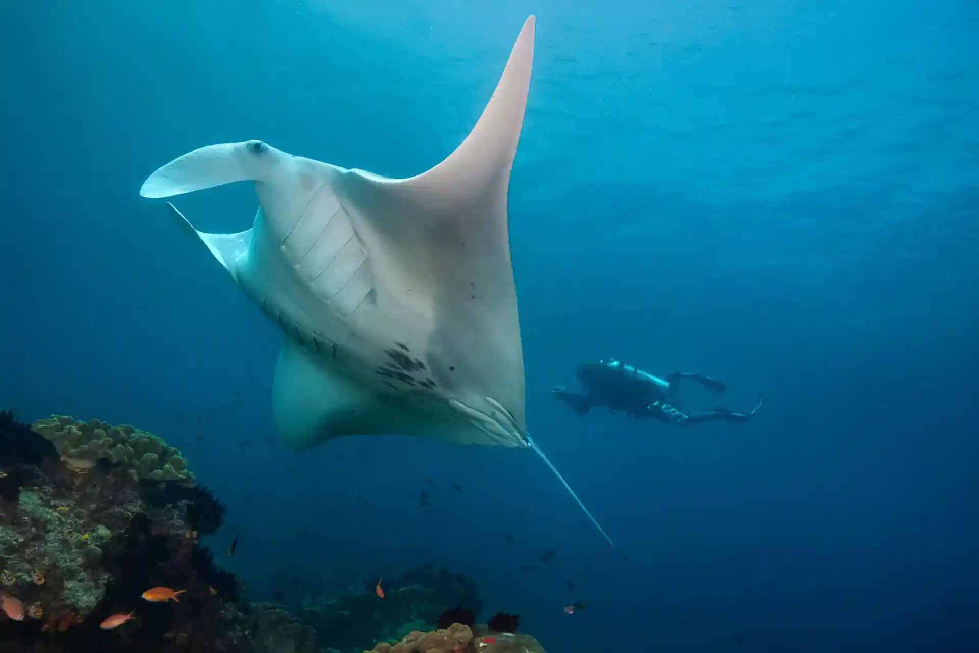 Dive shop photo