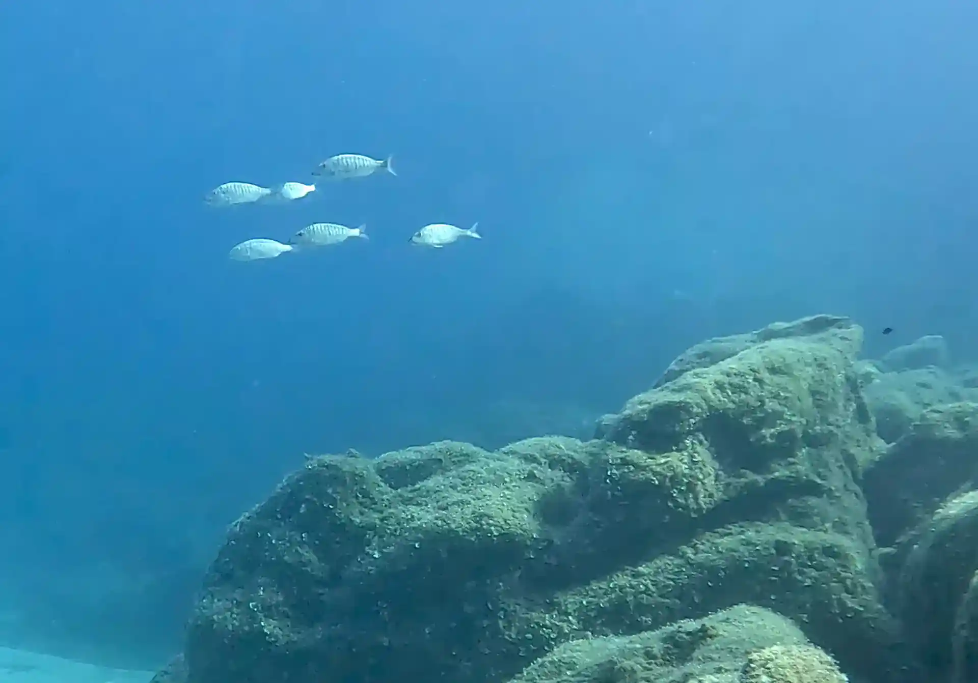 Dive site photo