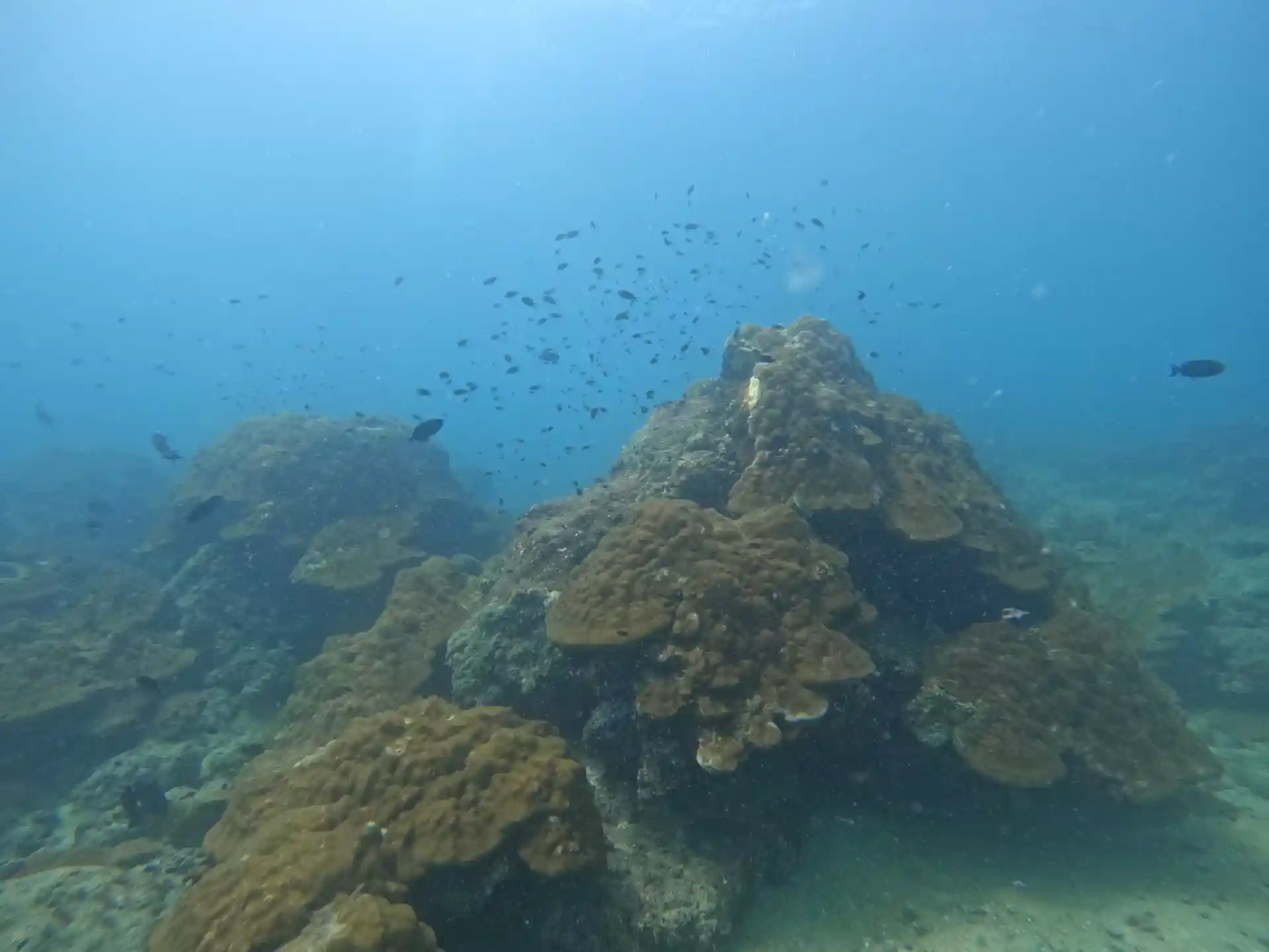 Dive shop photo