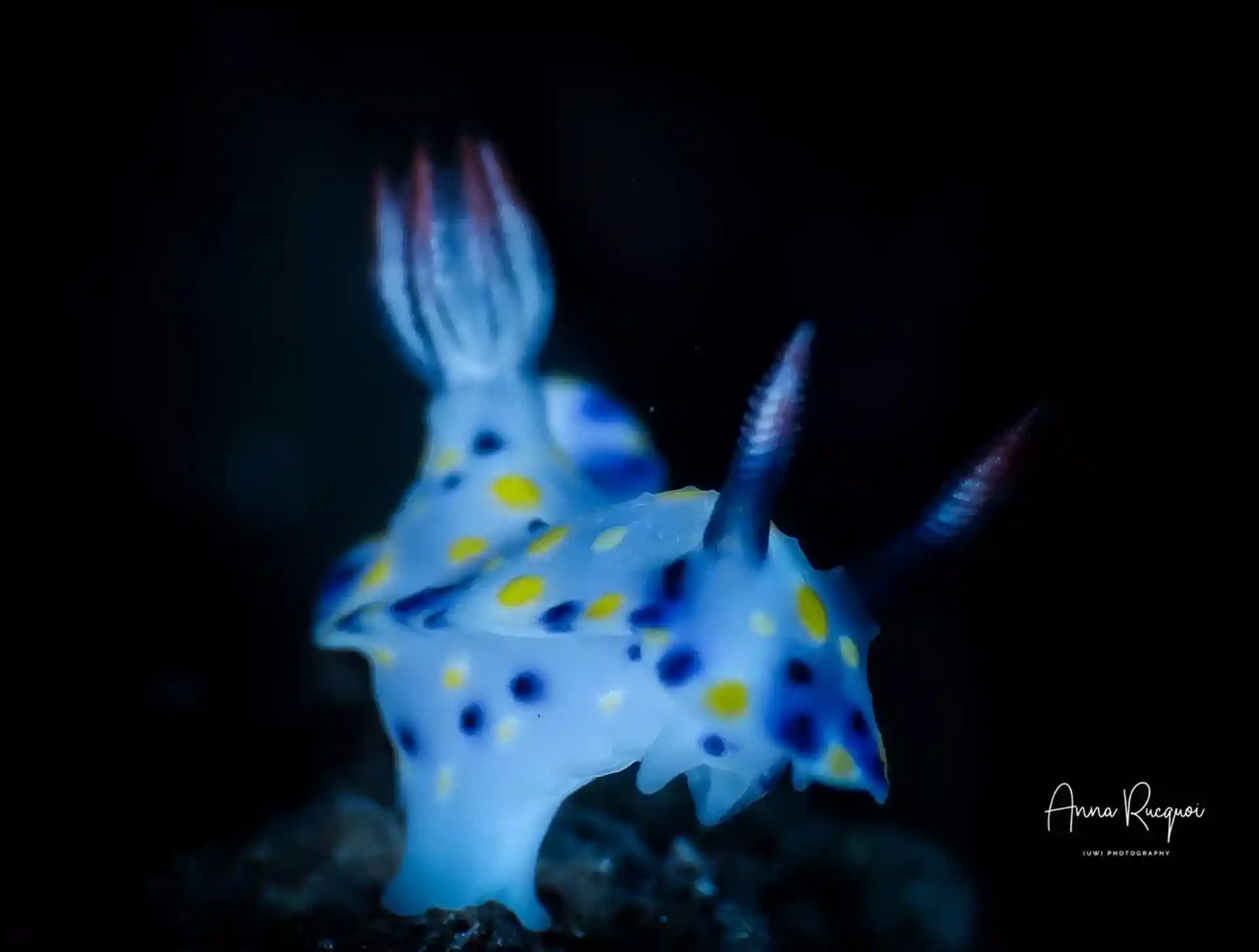 Dive site photo