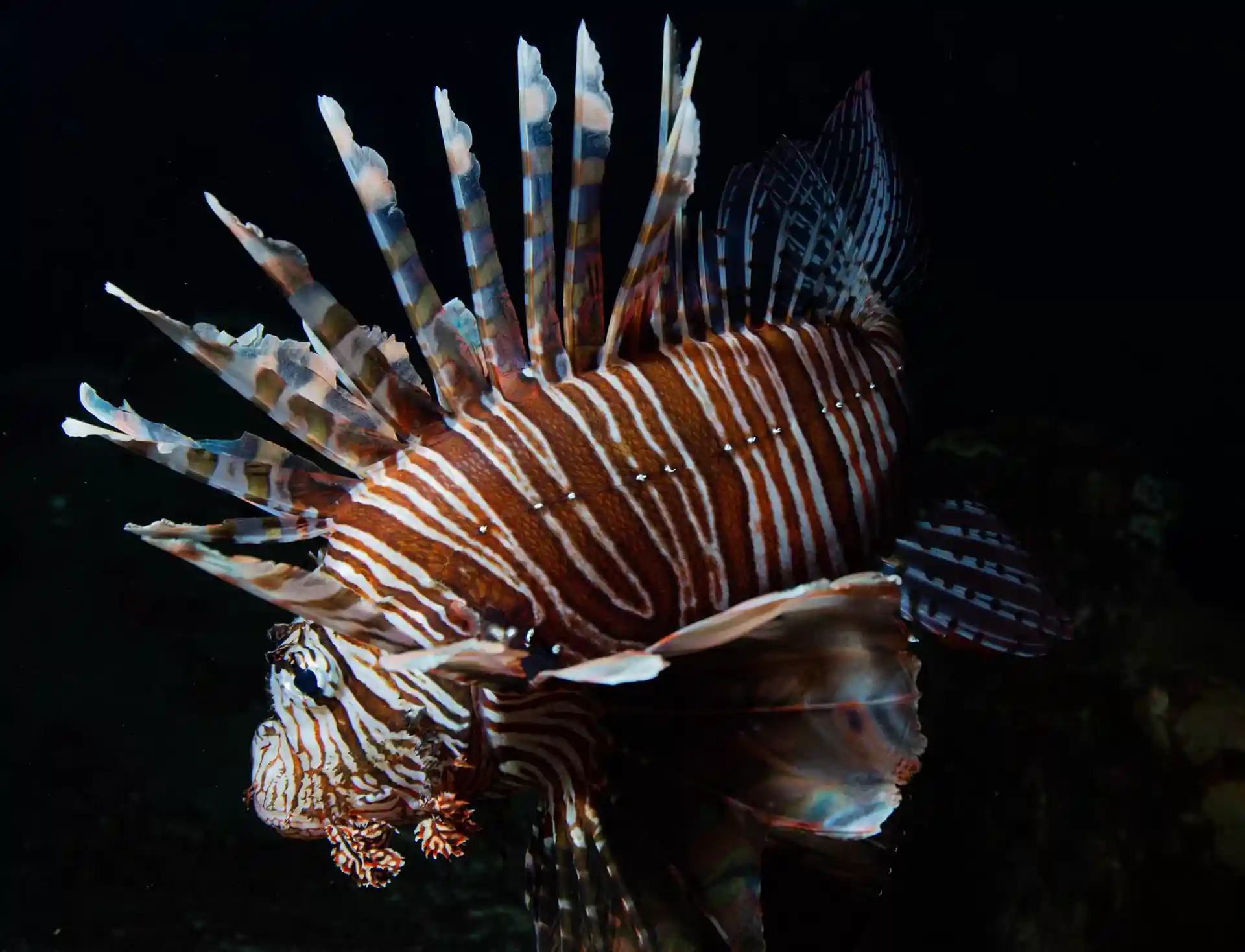 Dive site photo