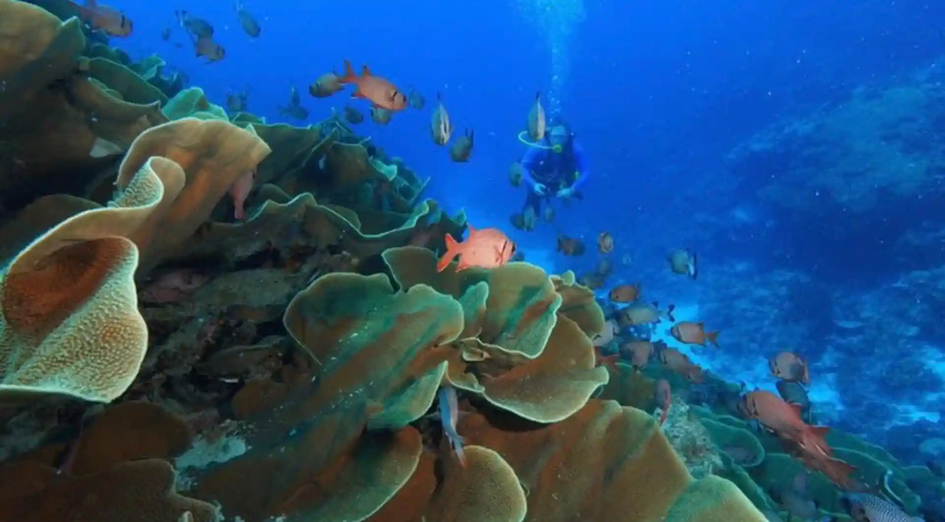 Dive shop photo