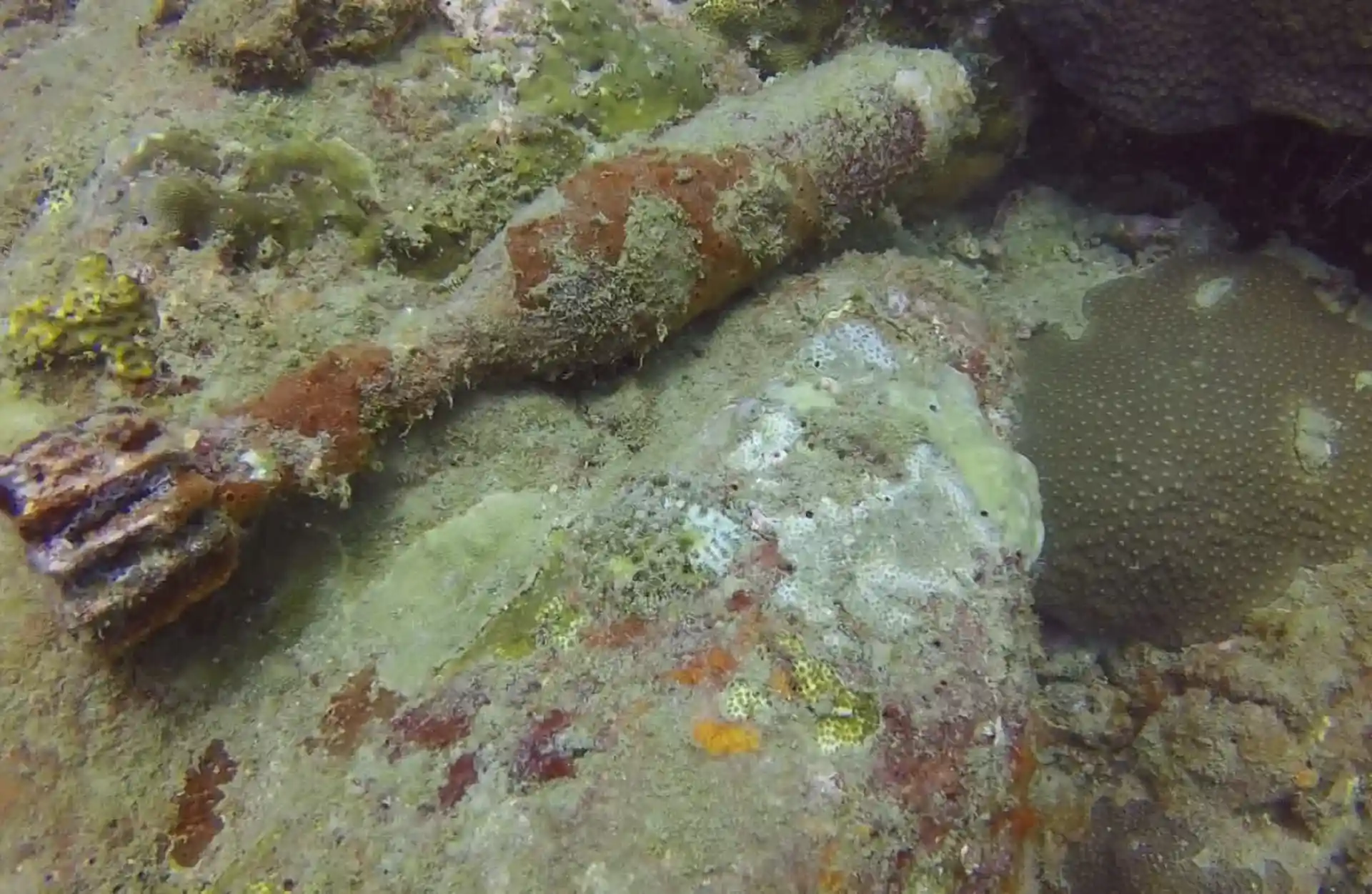 Dive site photo