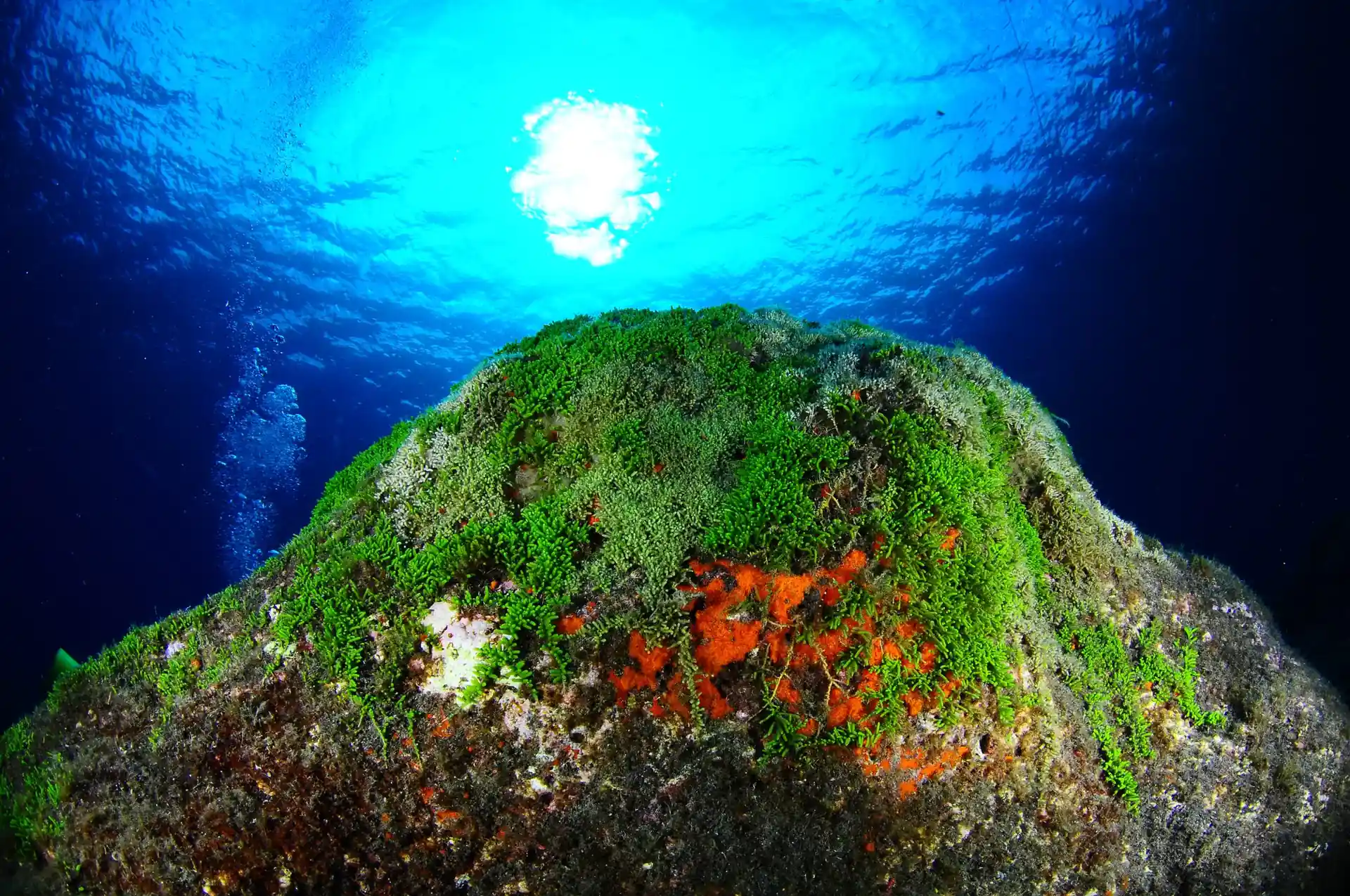 Dive site photo