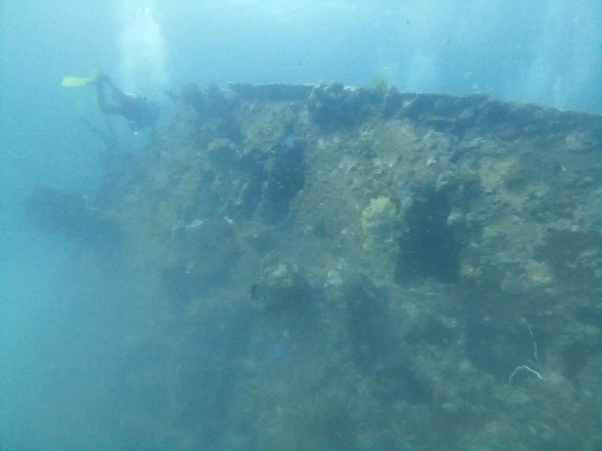 다이빙 포인트 사진