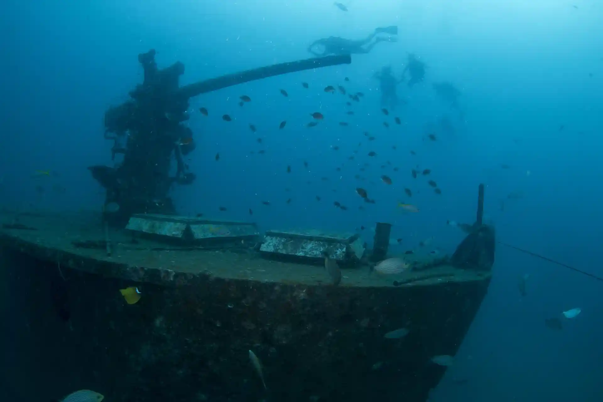 ダイビングサイトの写真