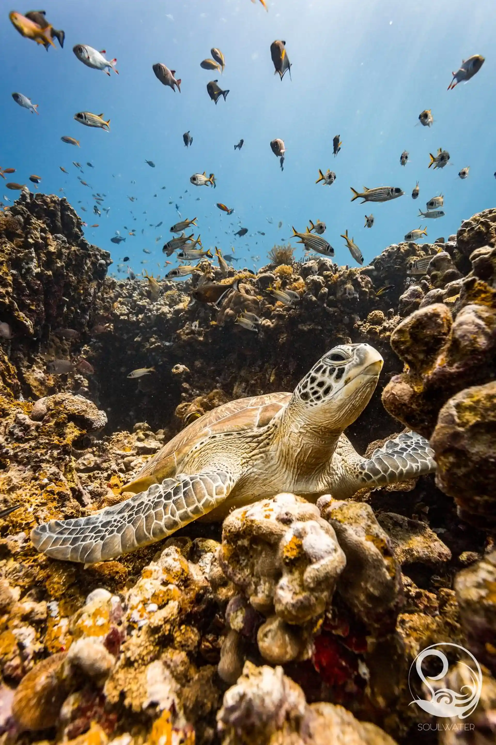 Dive site photo