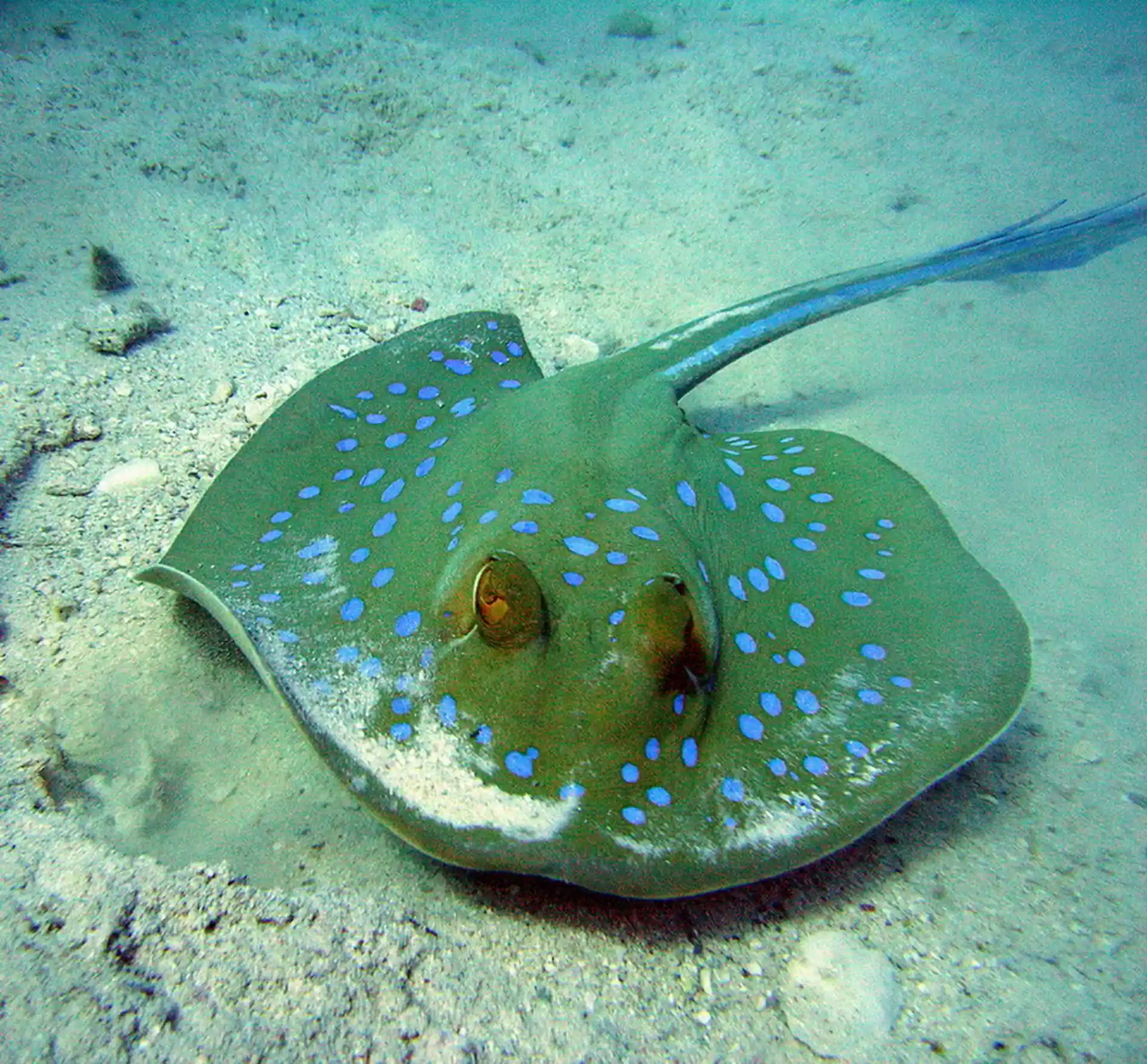 Foto des Tauchplatzes