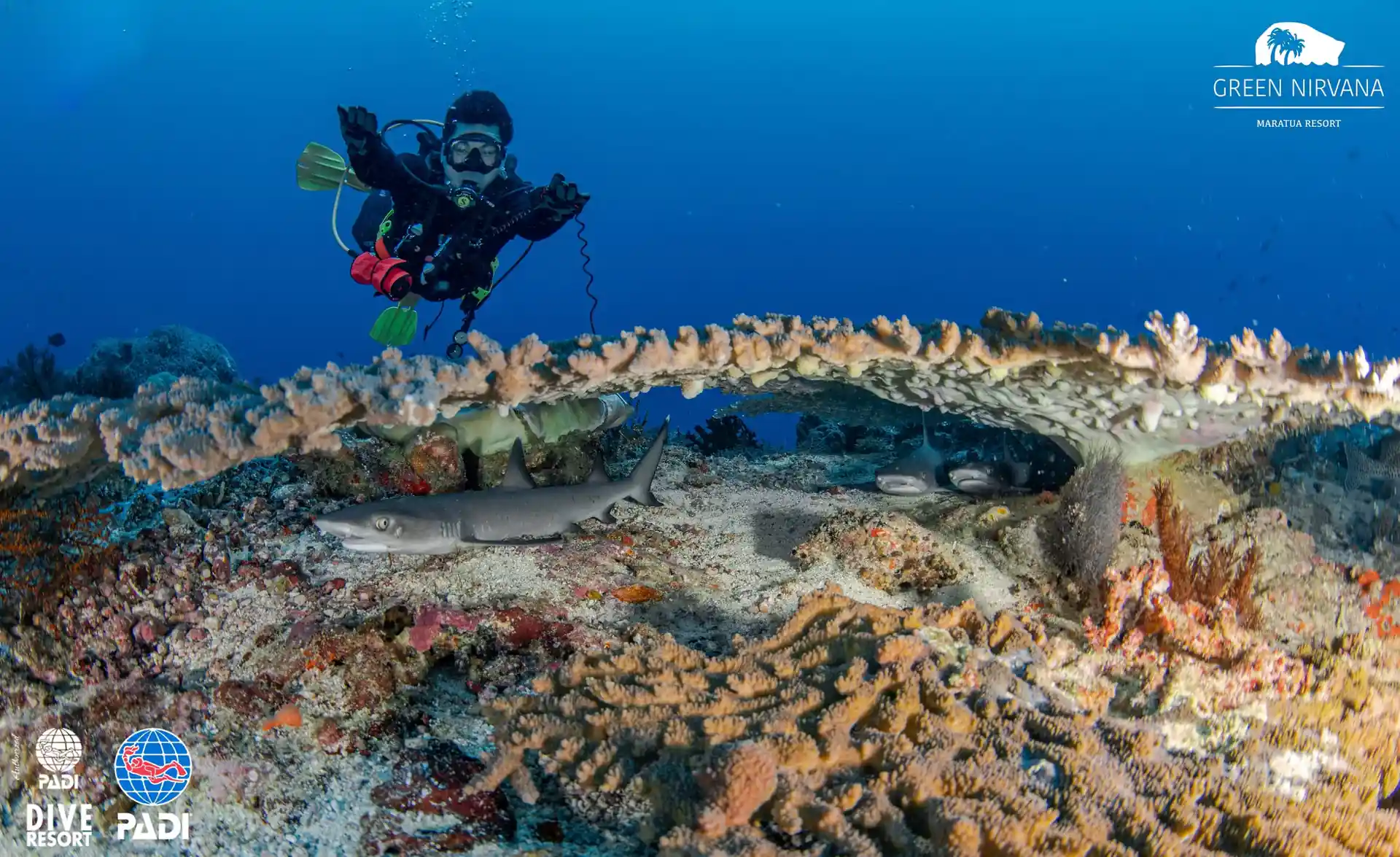 Dive site photo