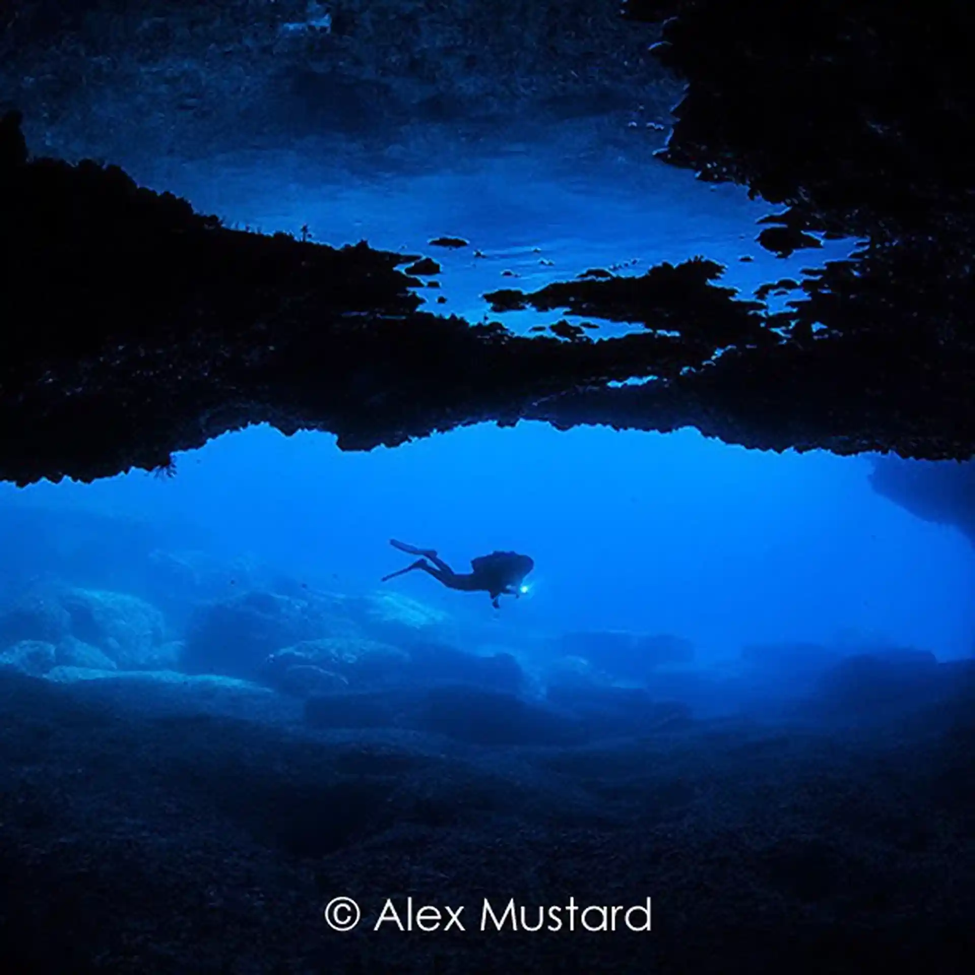 Dive site photo