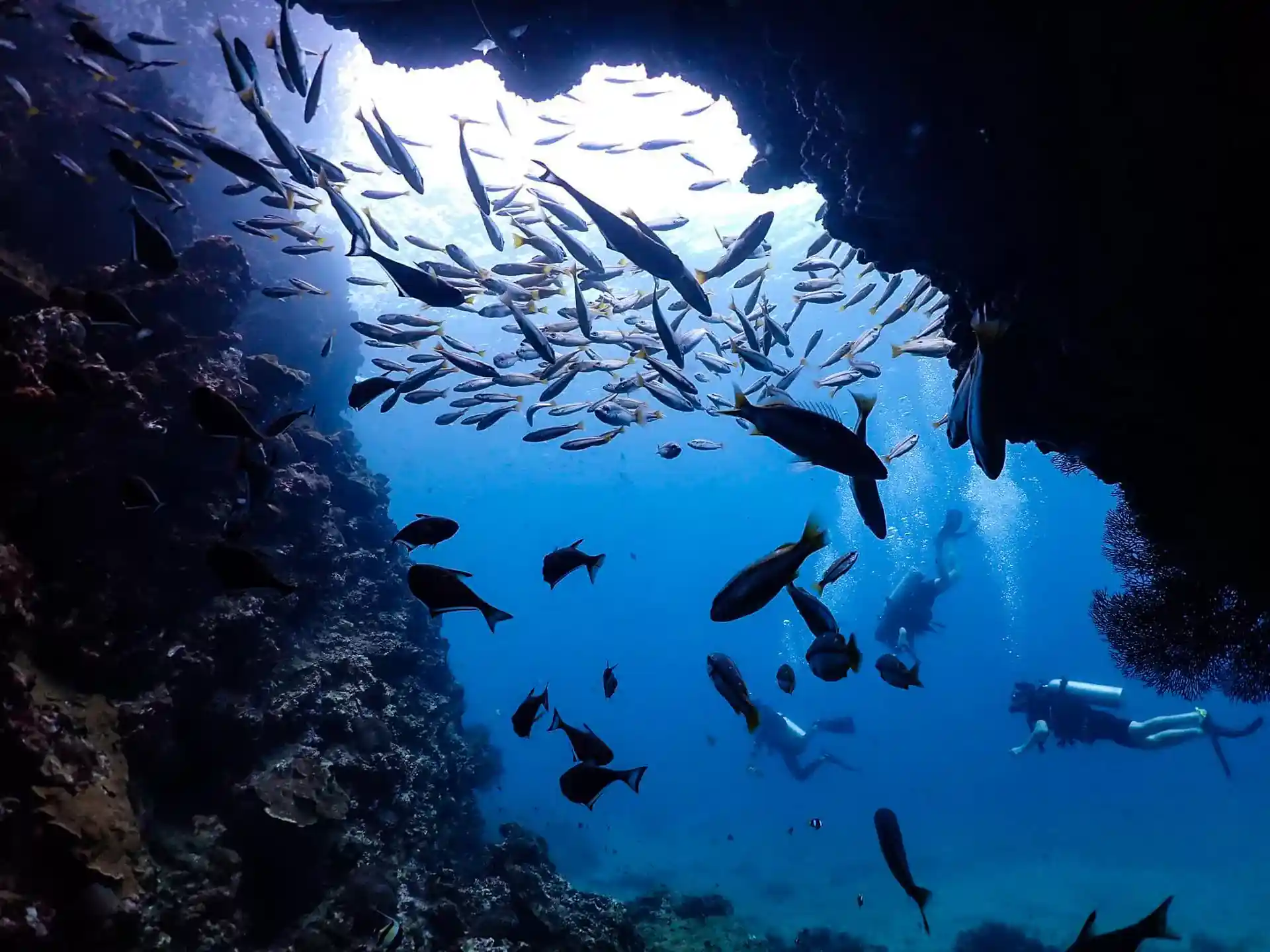 Foto des Tauchplatzes