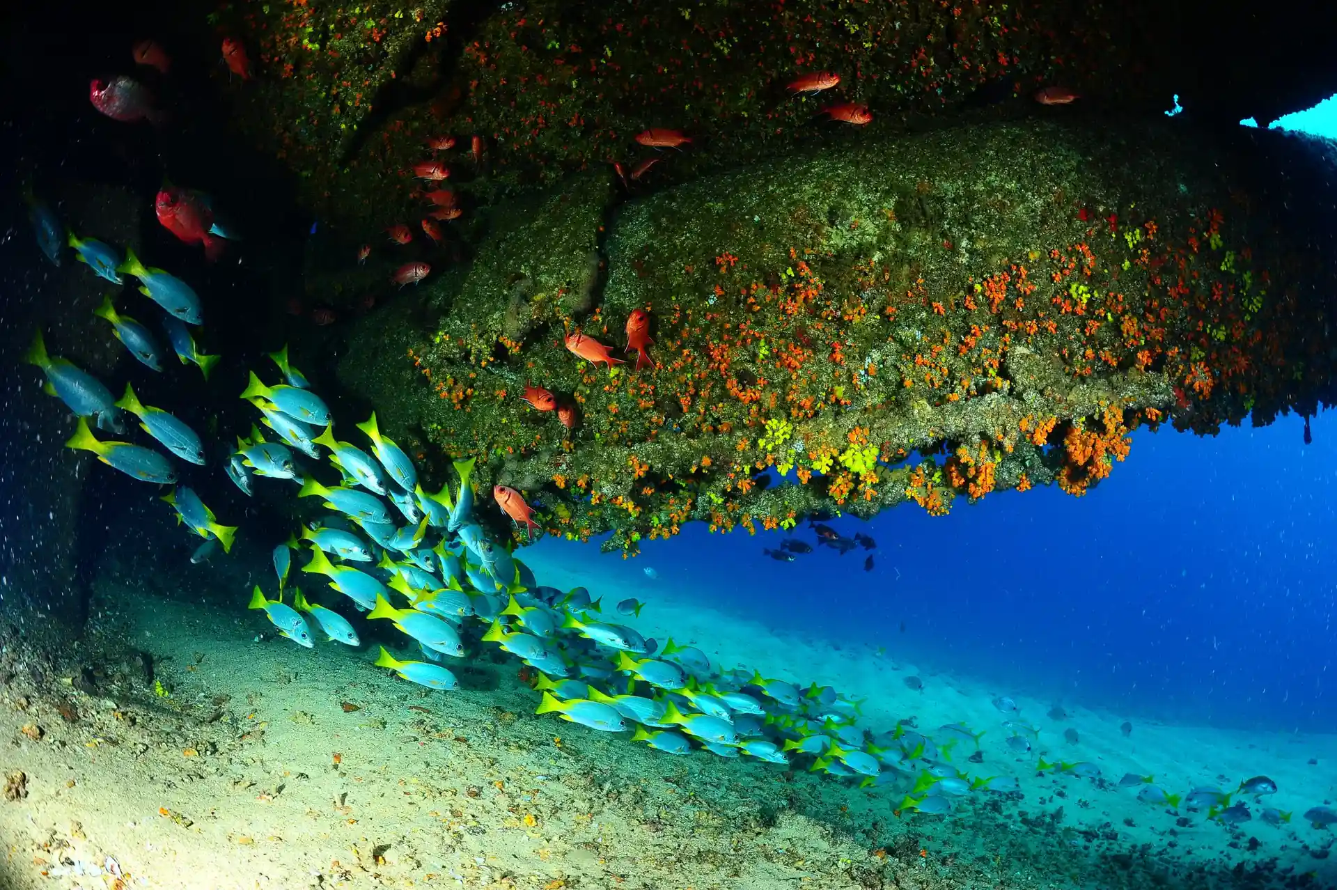 Dive site photo