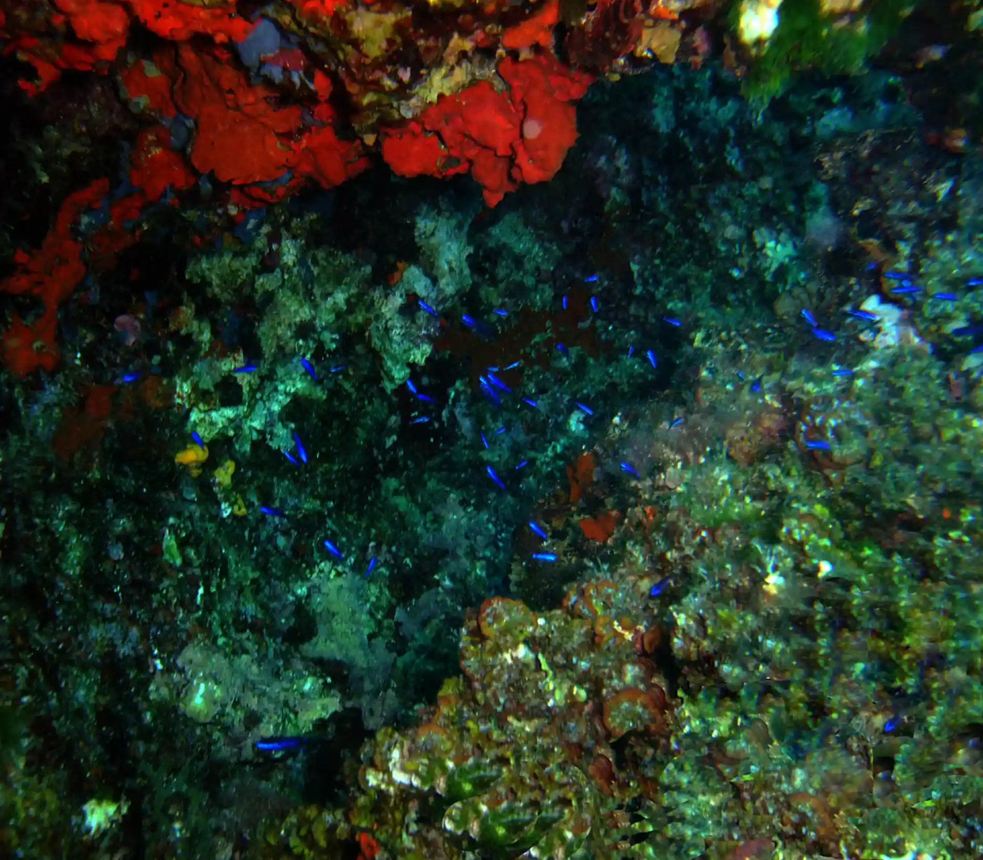 Dive site photo