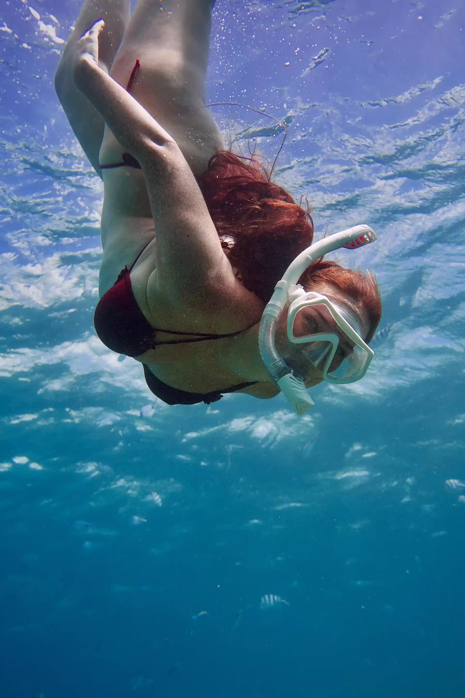 A private snorkelling experience, exploring local reefs on the East Coast of Mauritius together with a Marine Biologist.