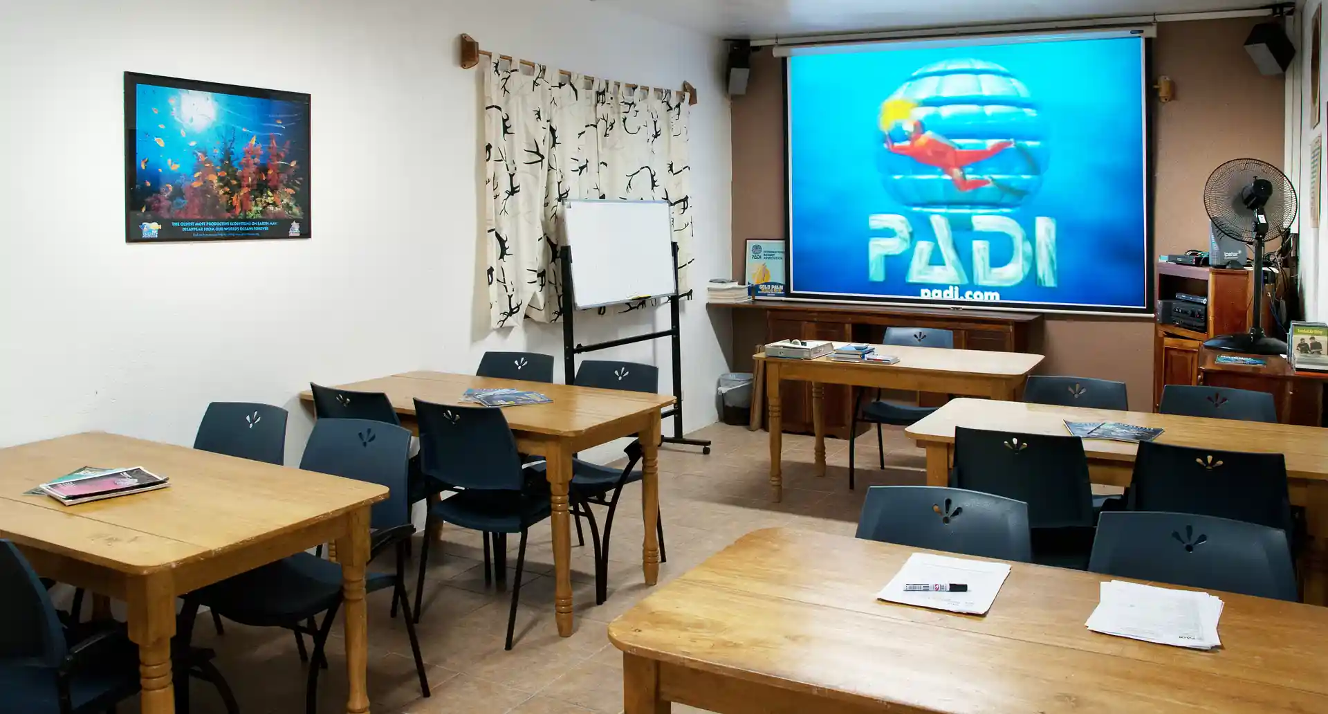 Photo de l'activité