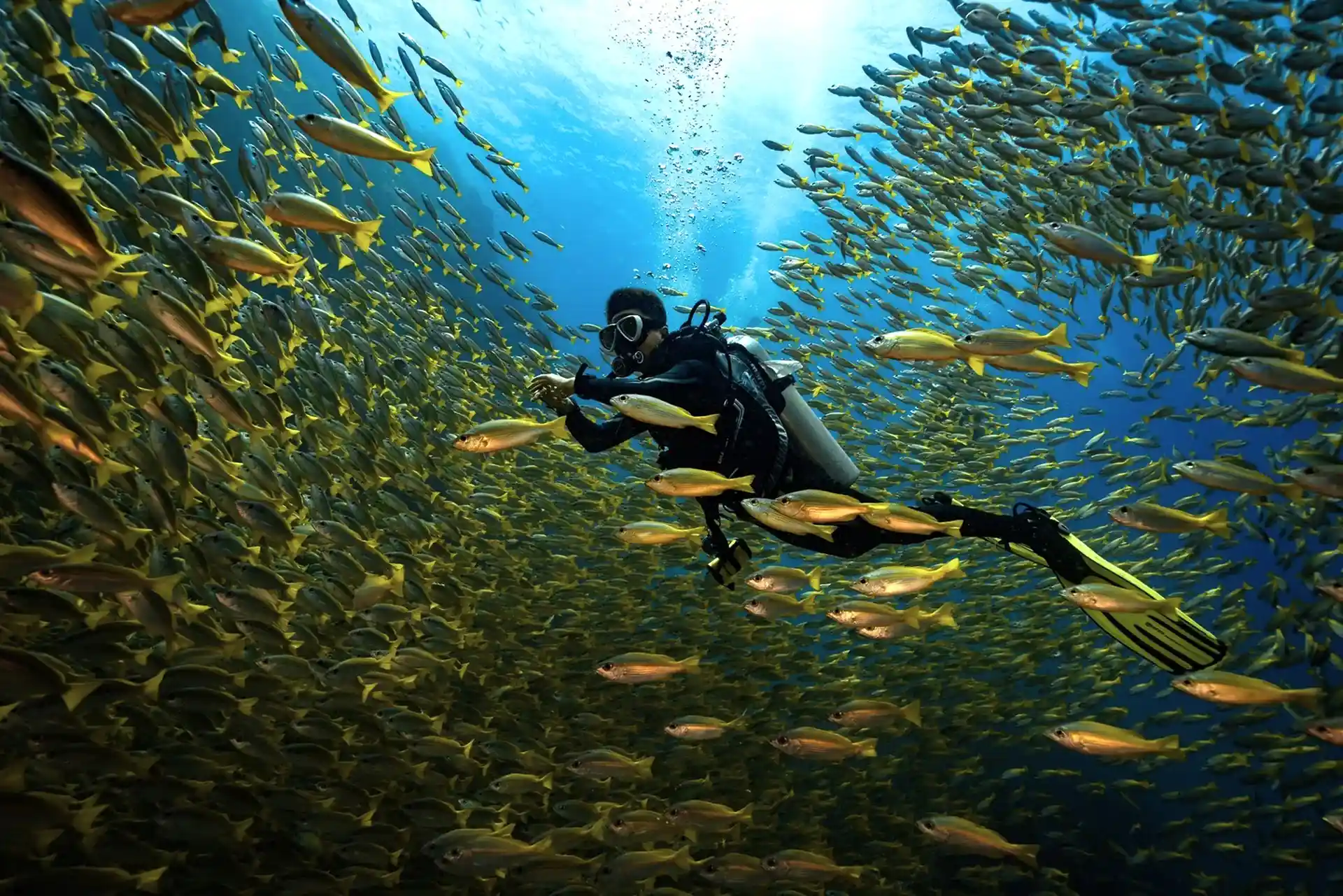Dive shop photo