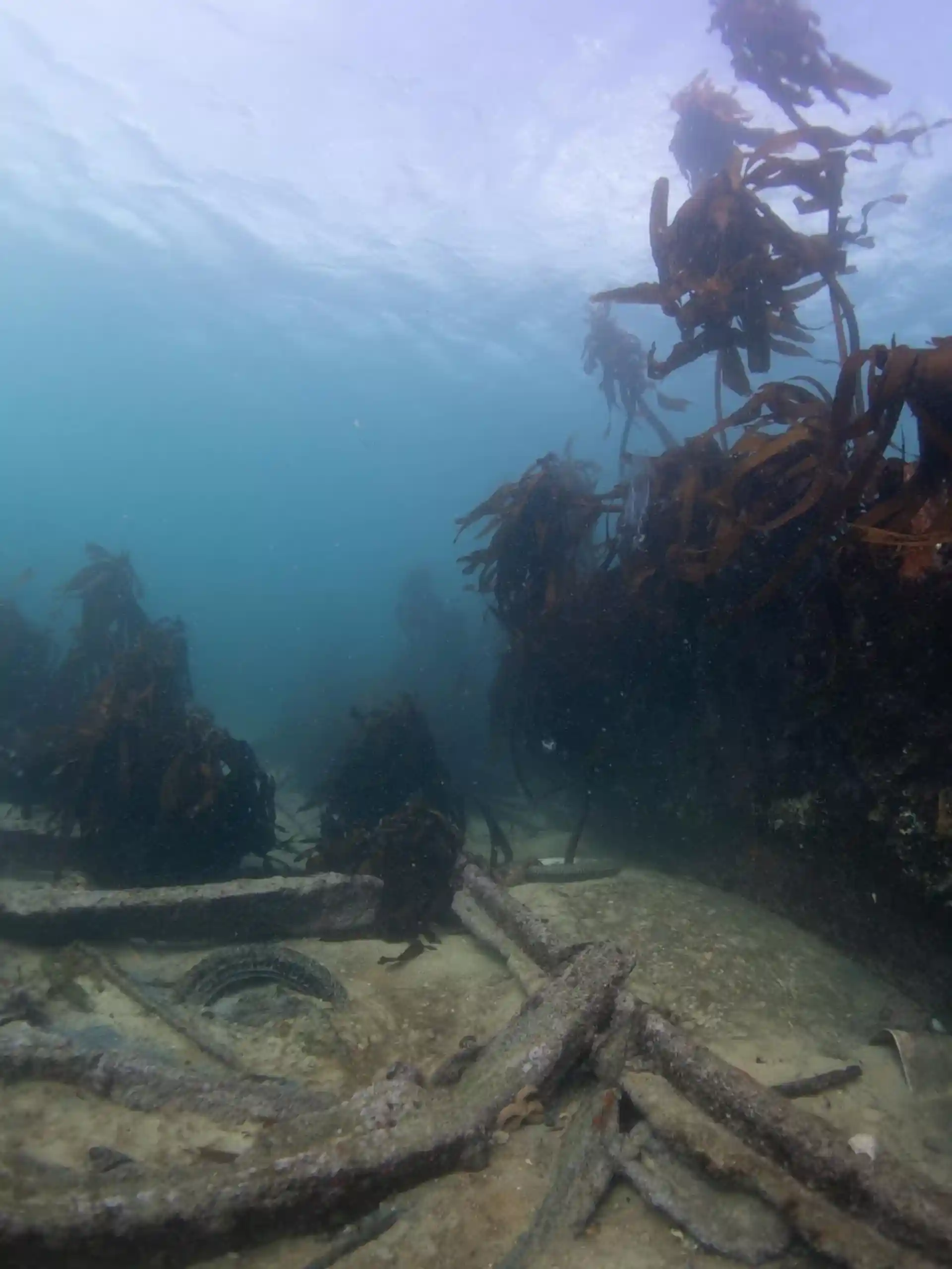 Dive site photo