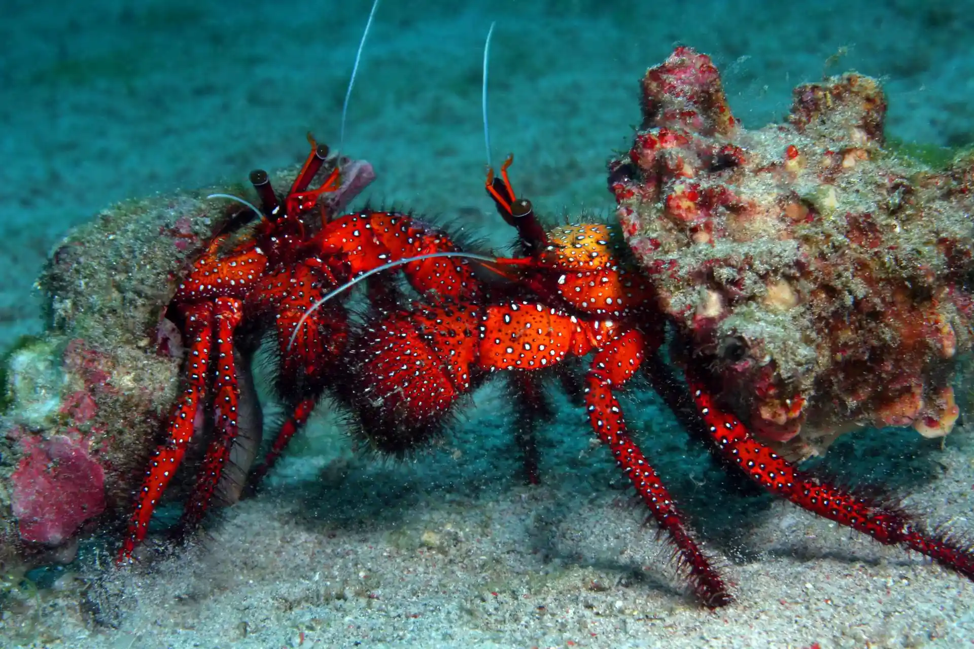 Dive site photo