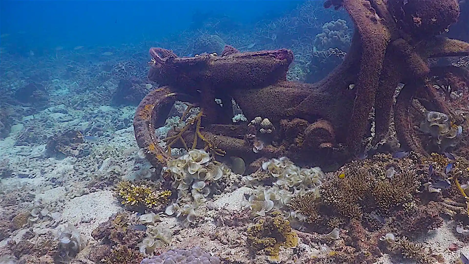 Dive site photo