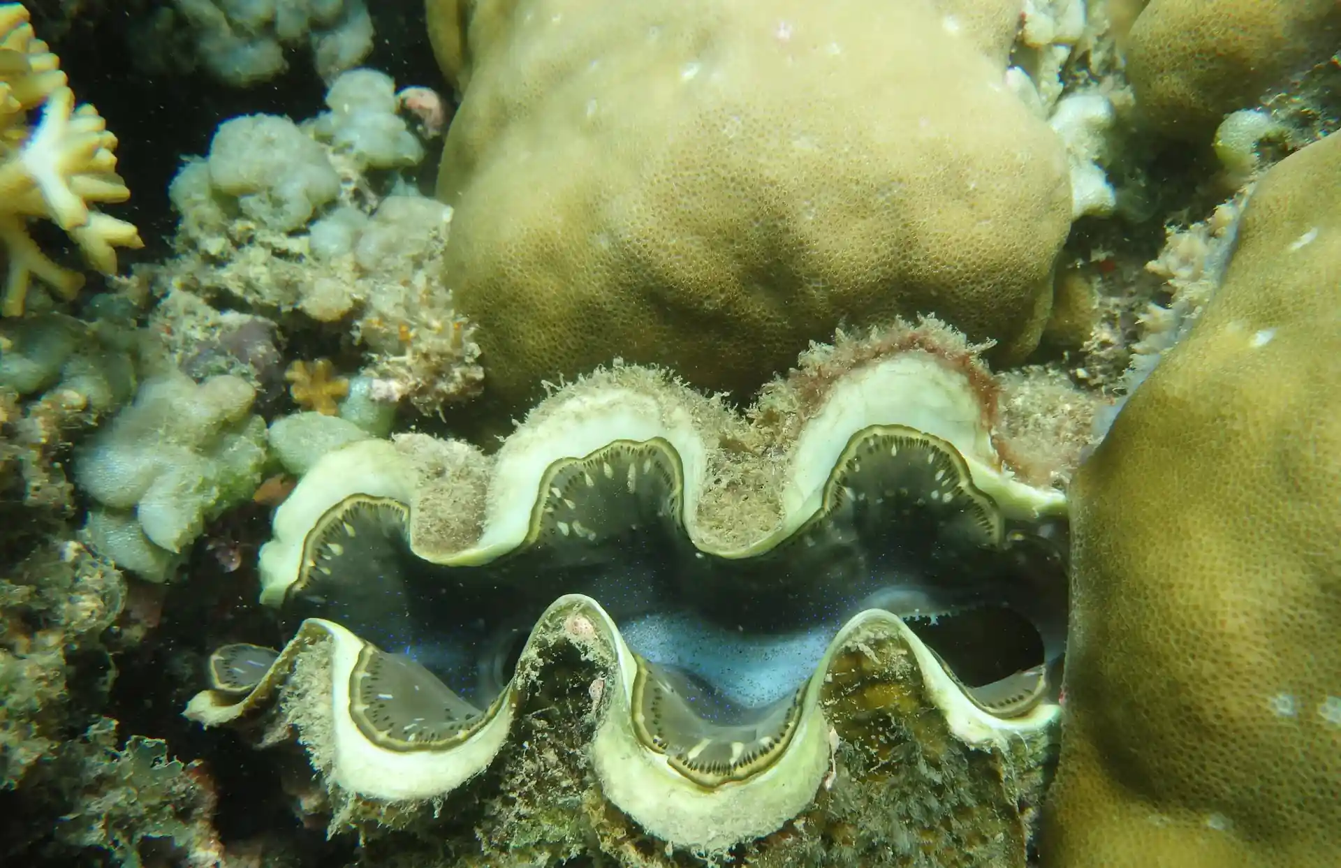 다이빙 포인트 사진