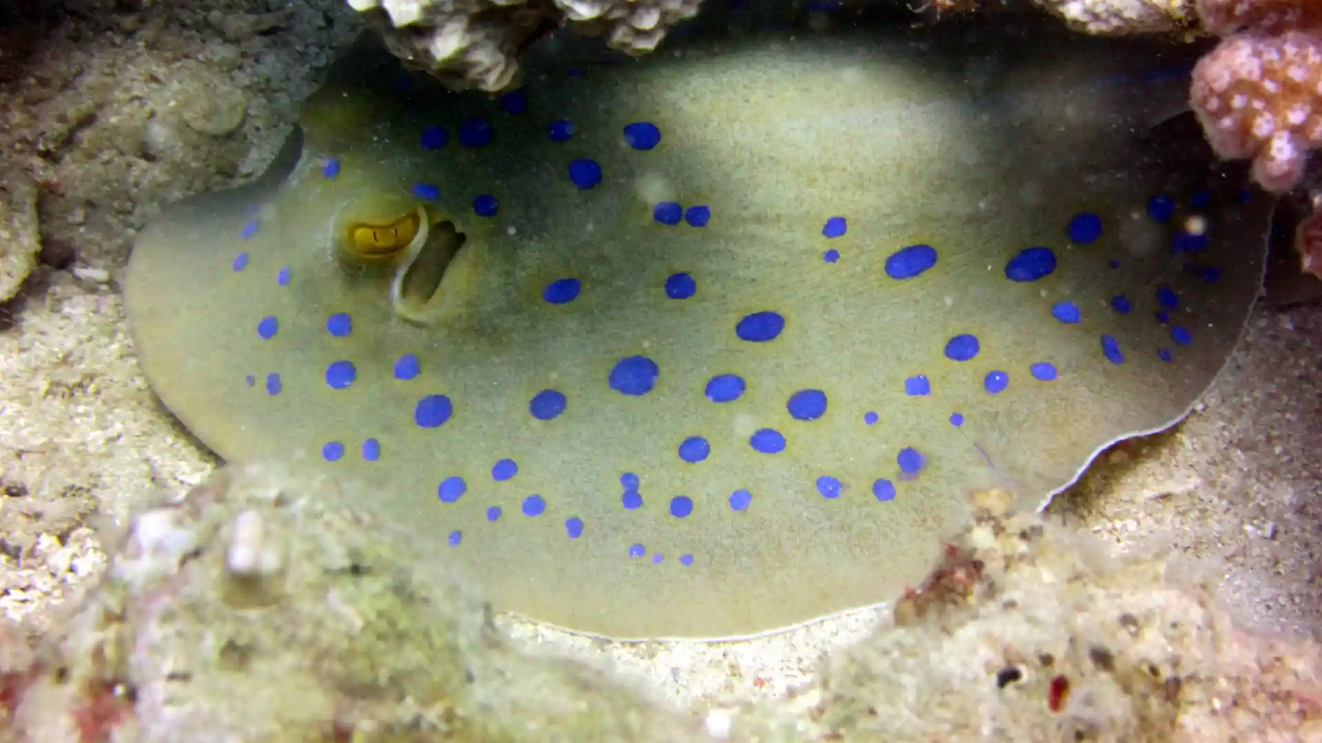 Dive site photo