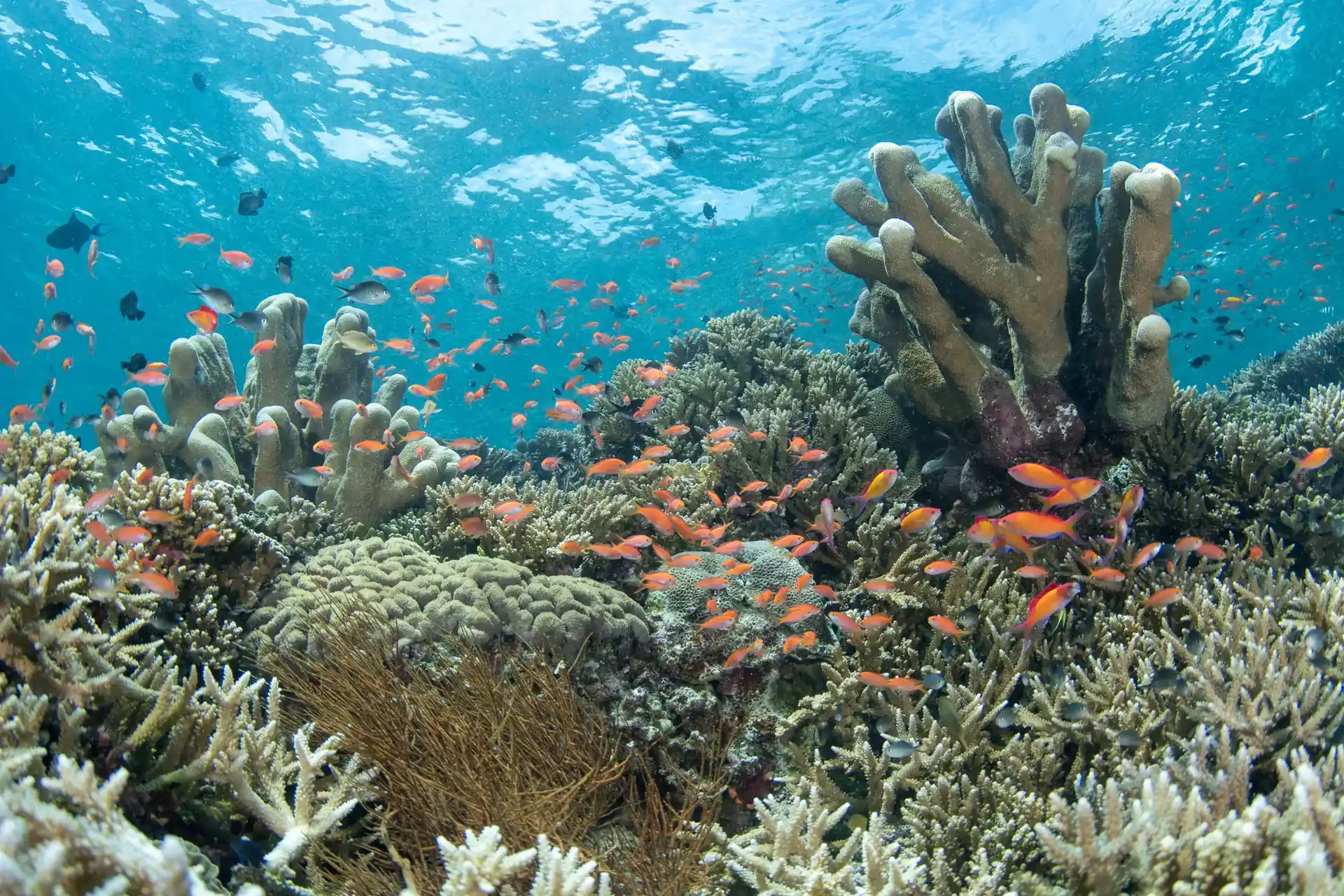 Foto des Tauchplatzes