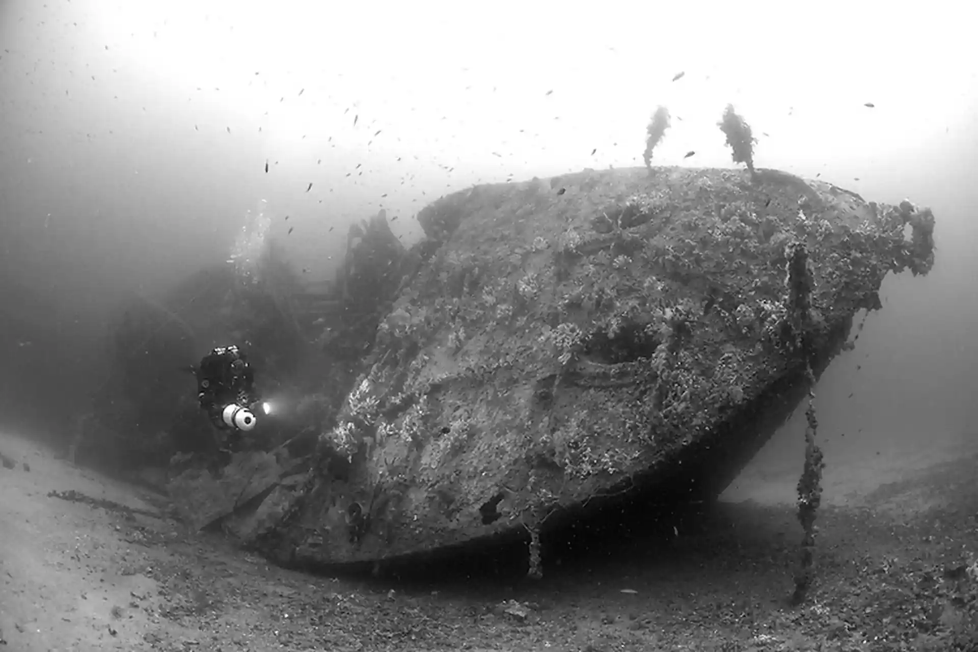 Dive site photo