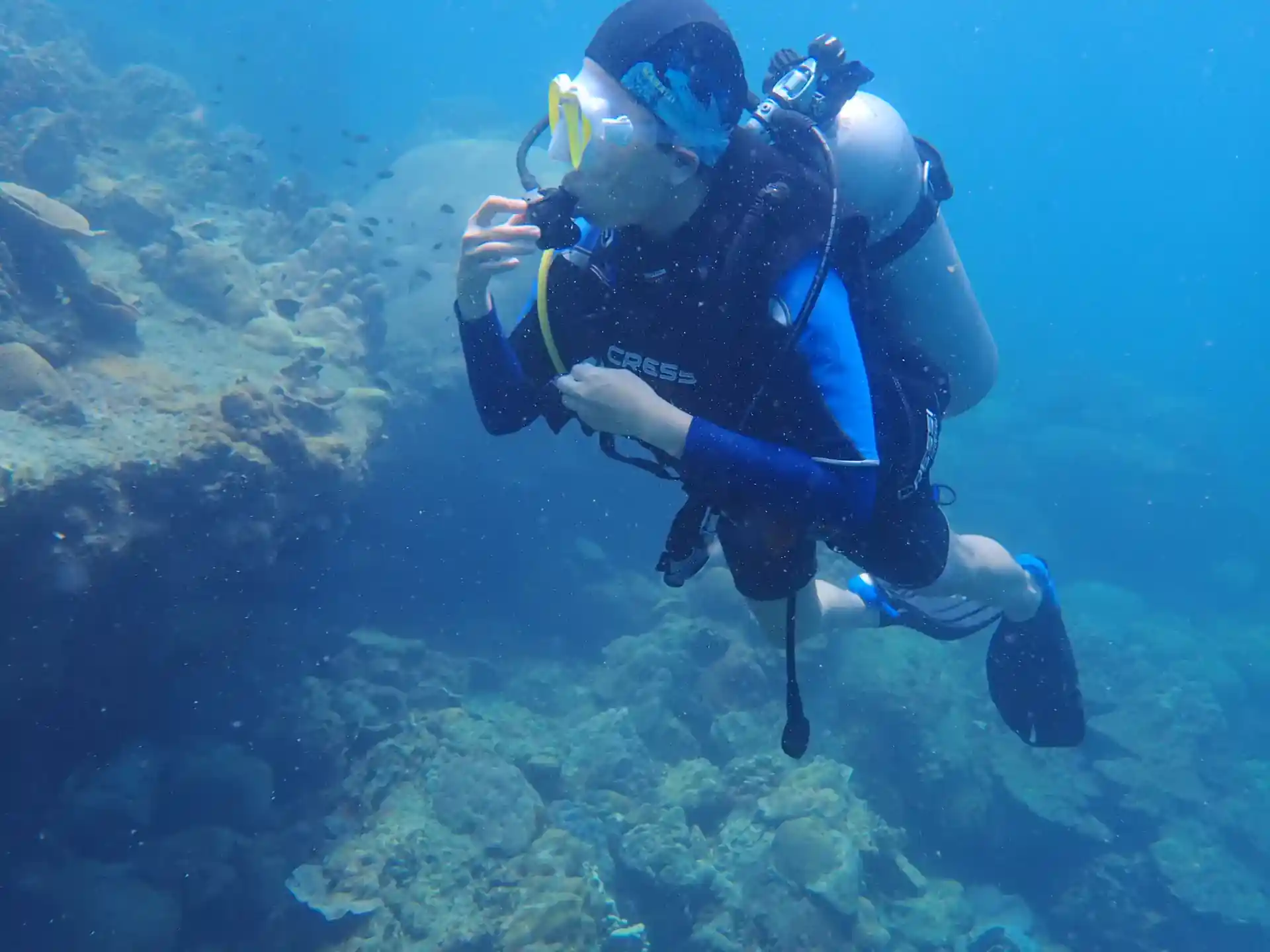 Photo du site de plongée