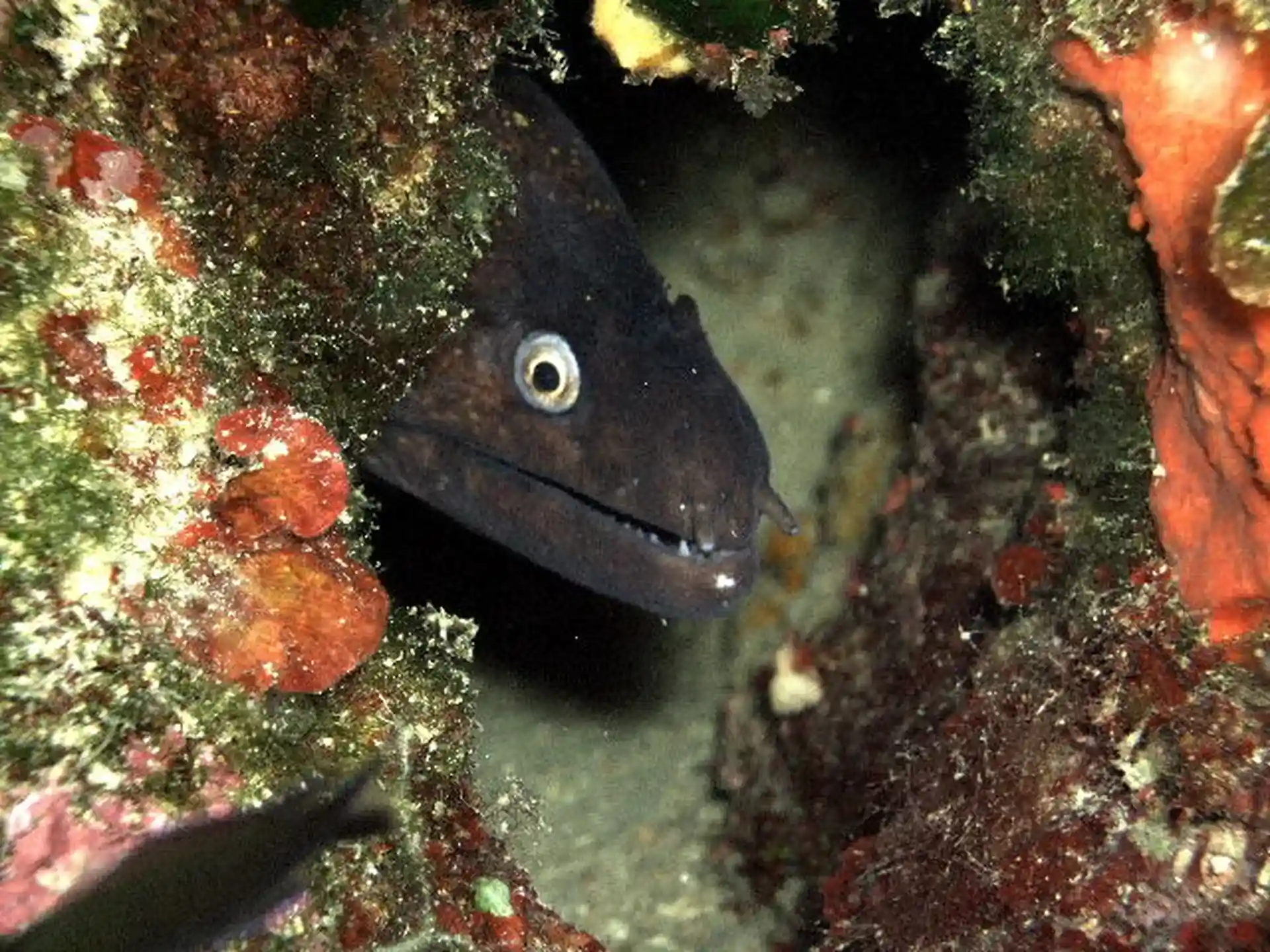 Dive shop photo