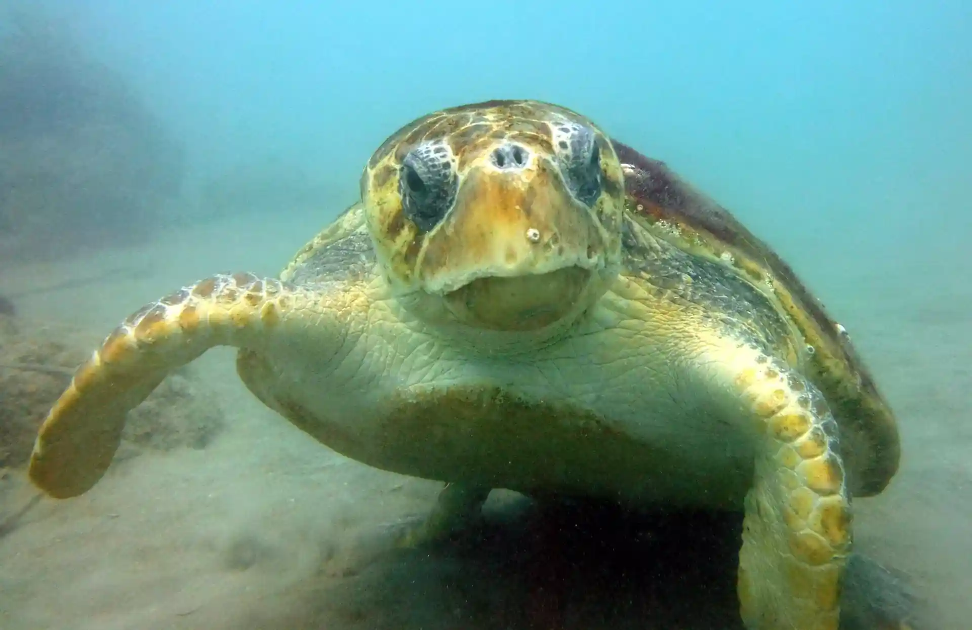 Foto van de duiklocatie