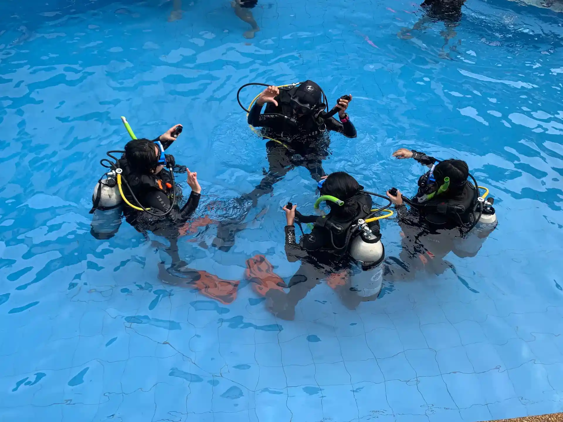 Photo de l'activité