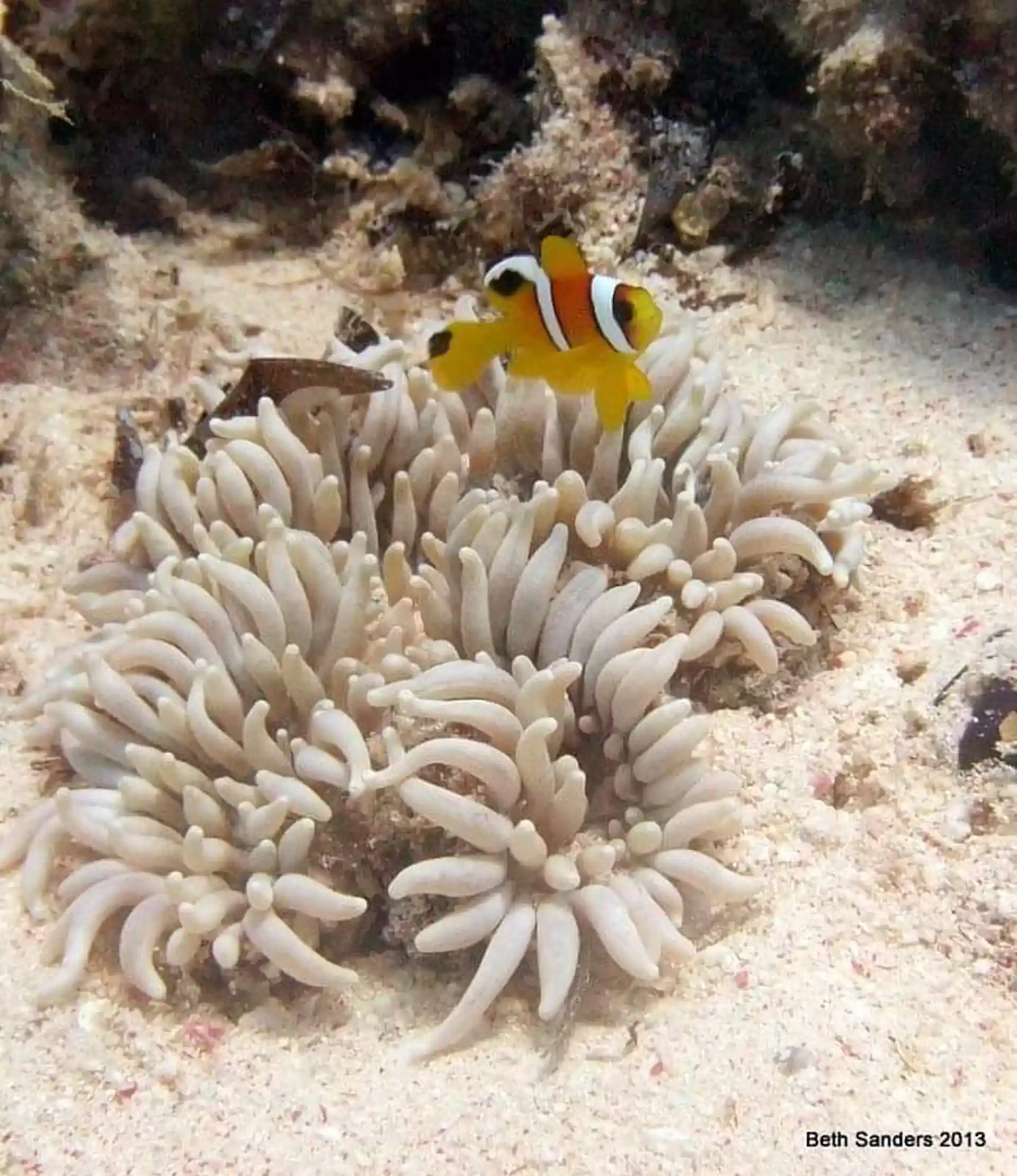 Dive site photo