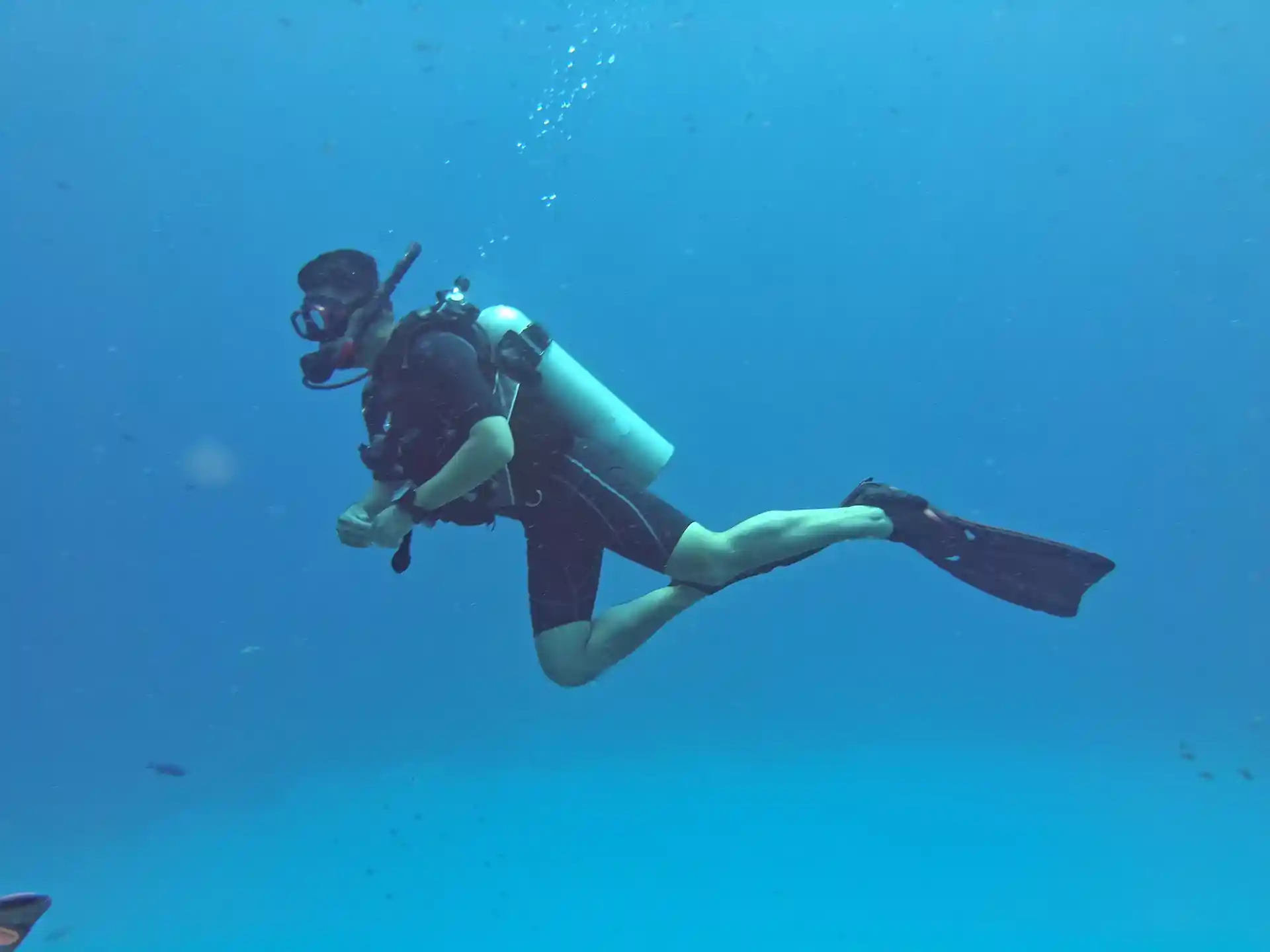 Enjoy guided diving on Bonaire with Scuba Elite. Small groups of max 4 divers and a calm, personal approach to every shore or boat dive.