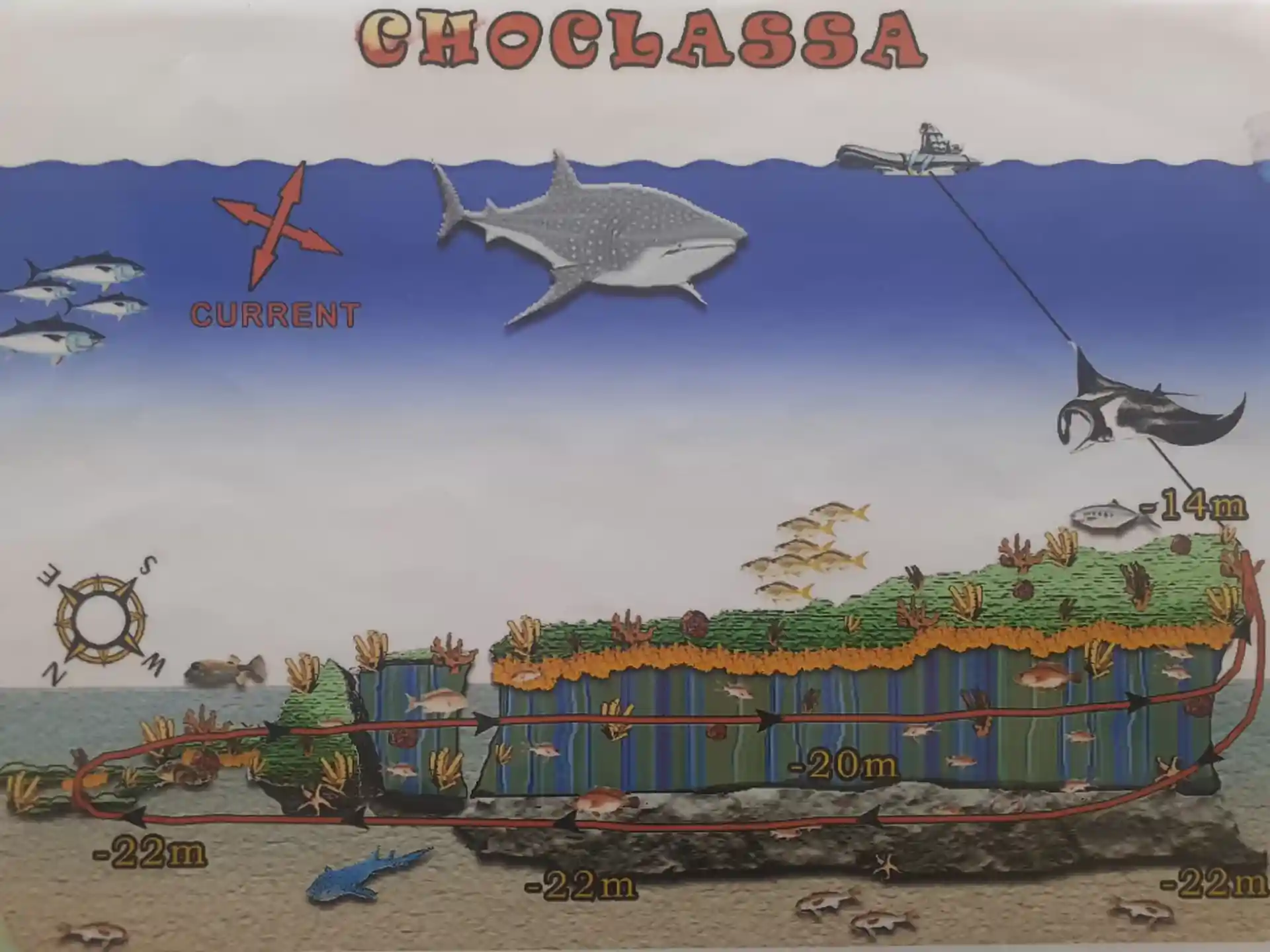 다이빙 포인트 사진