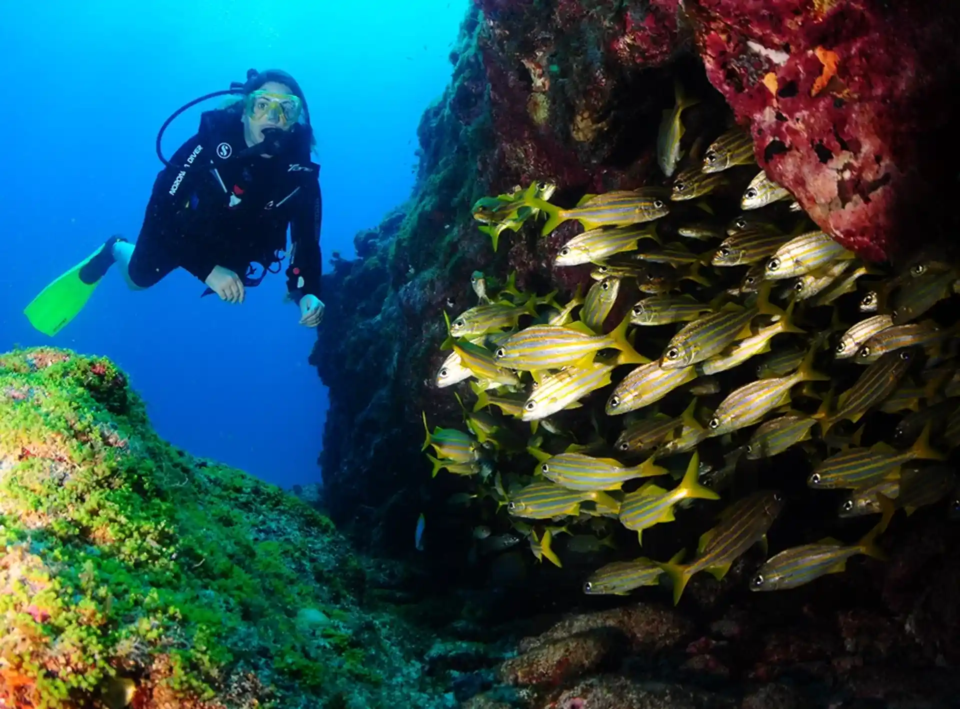 Dive site photo
