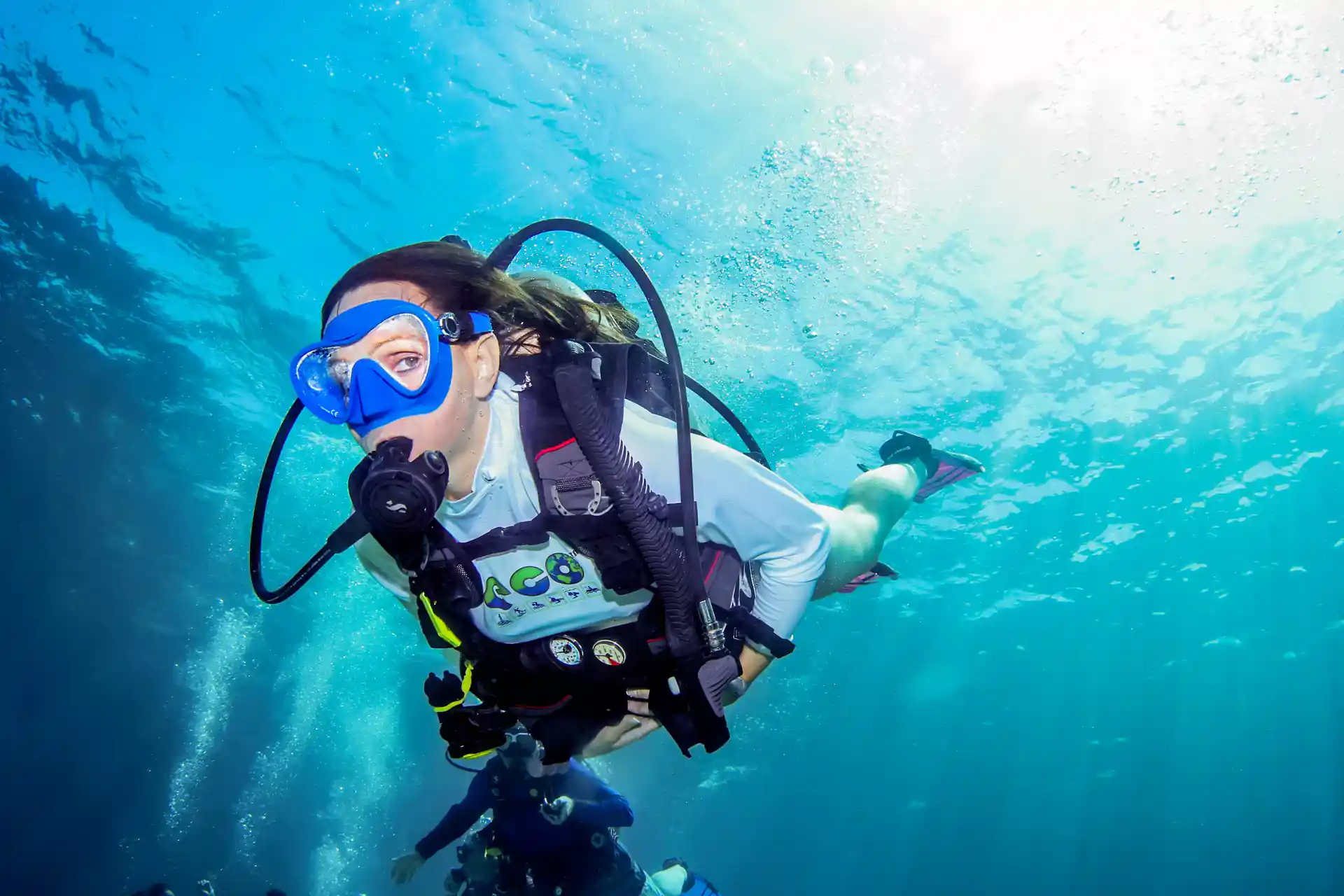 Photo de l'activité