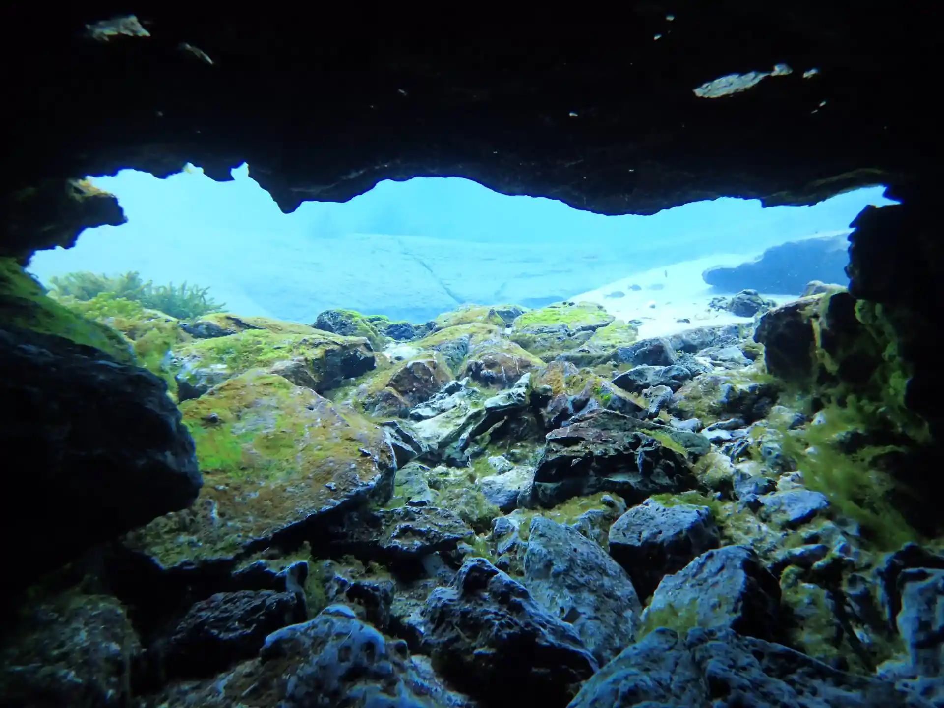 Foto des Tauchplatzes