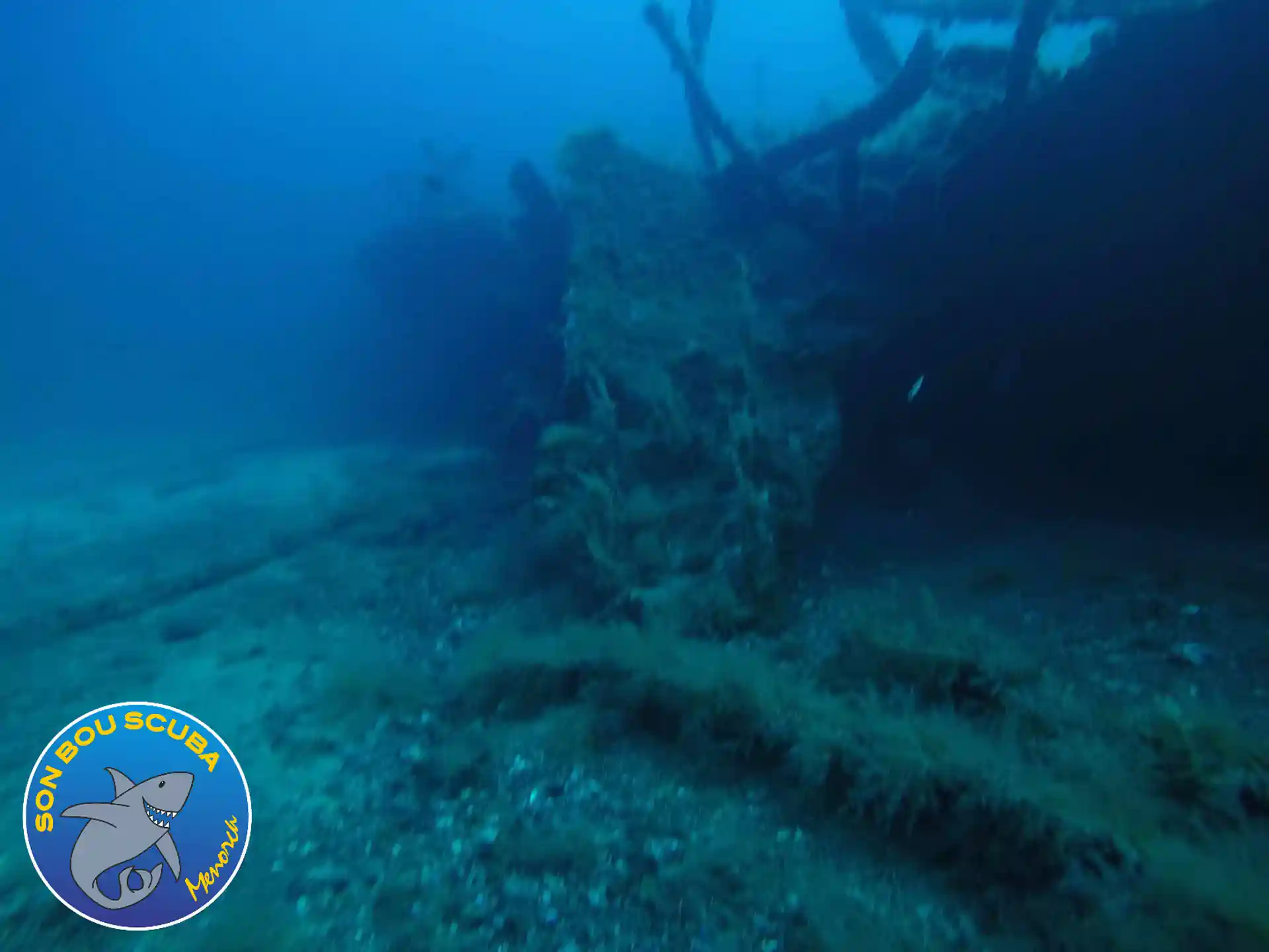 Dive site photo