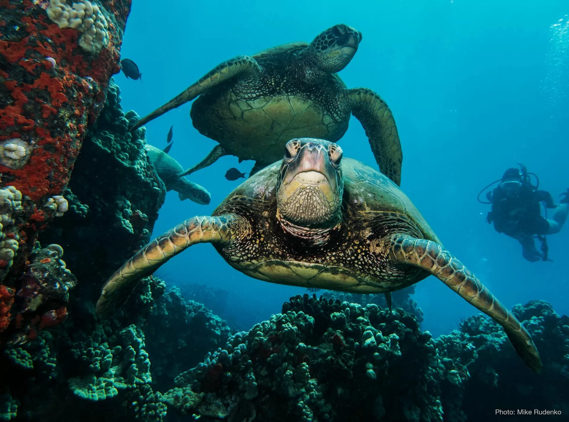 Dive shop photo