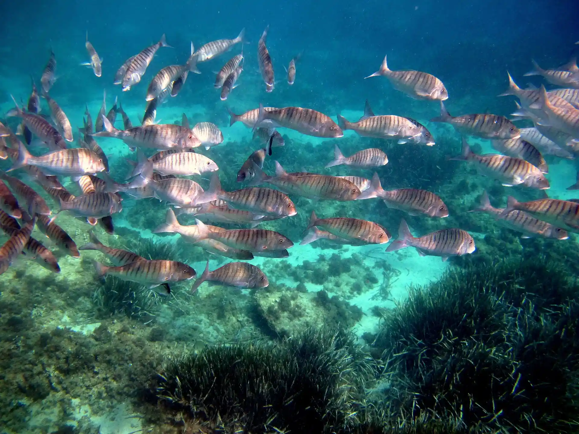 Foto van de duiklocatie