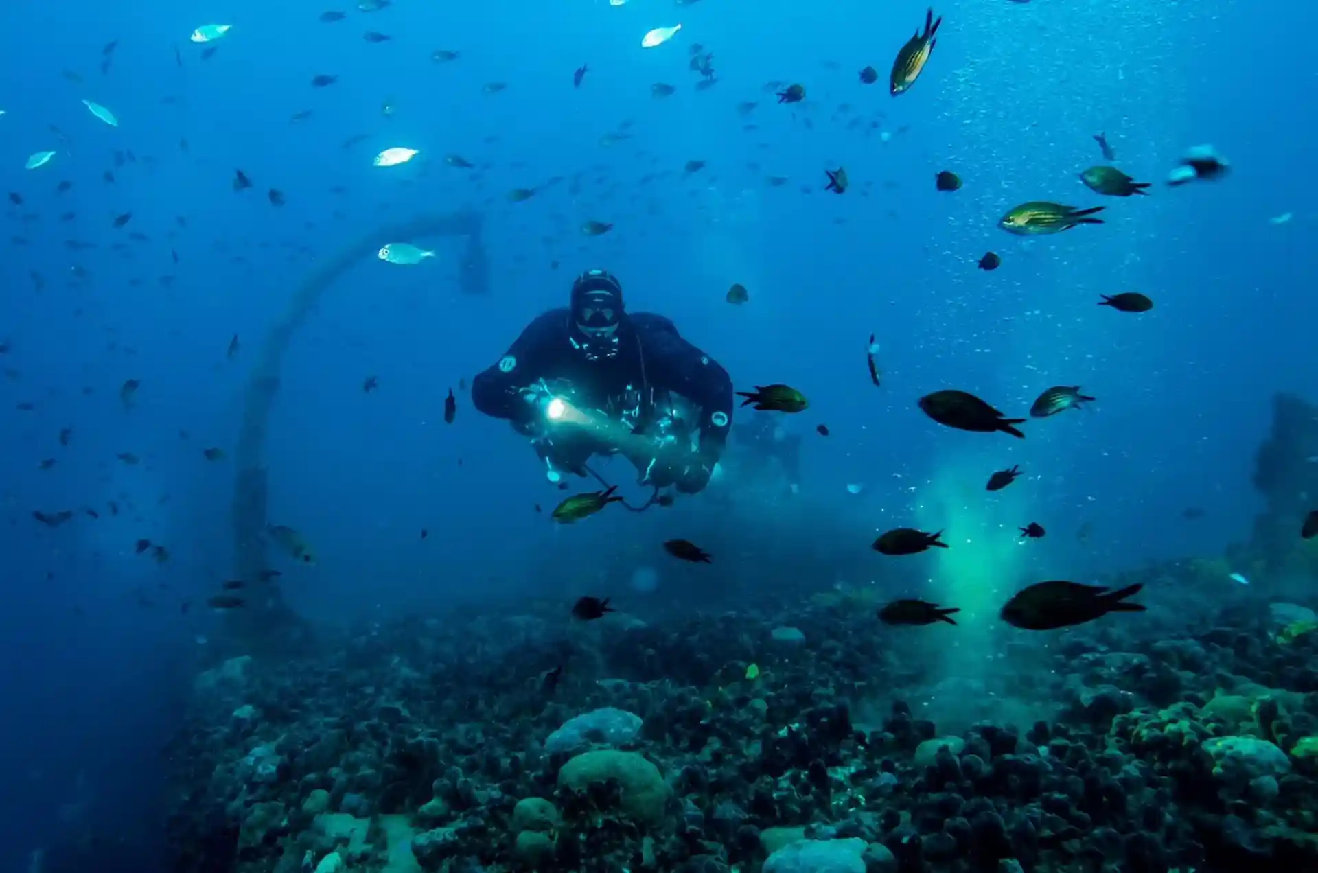 ダイビングサイトの写真