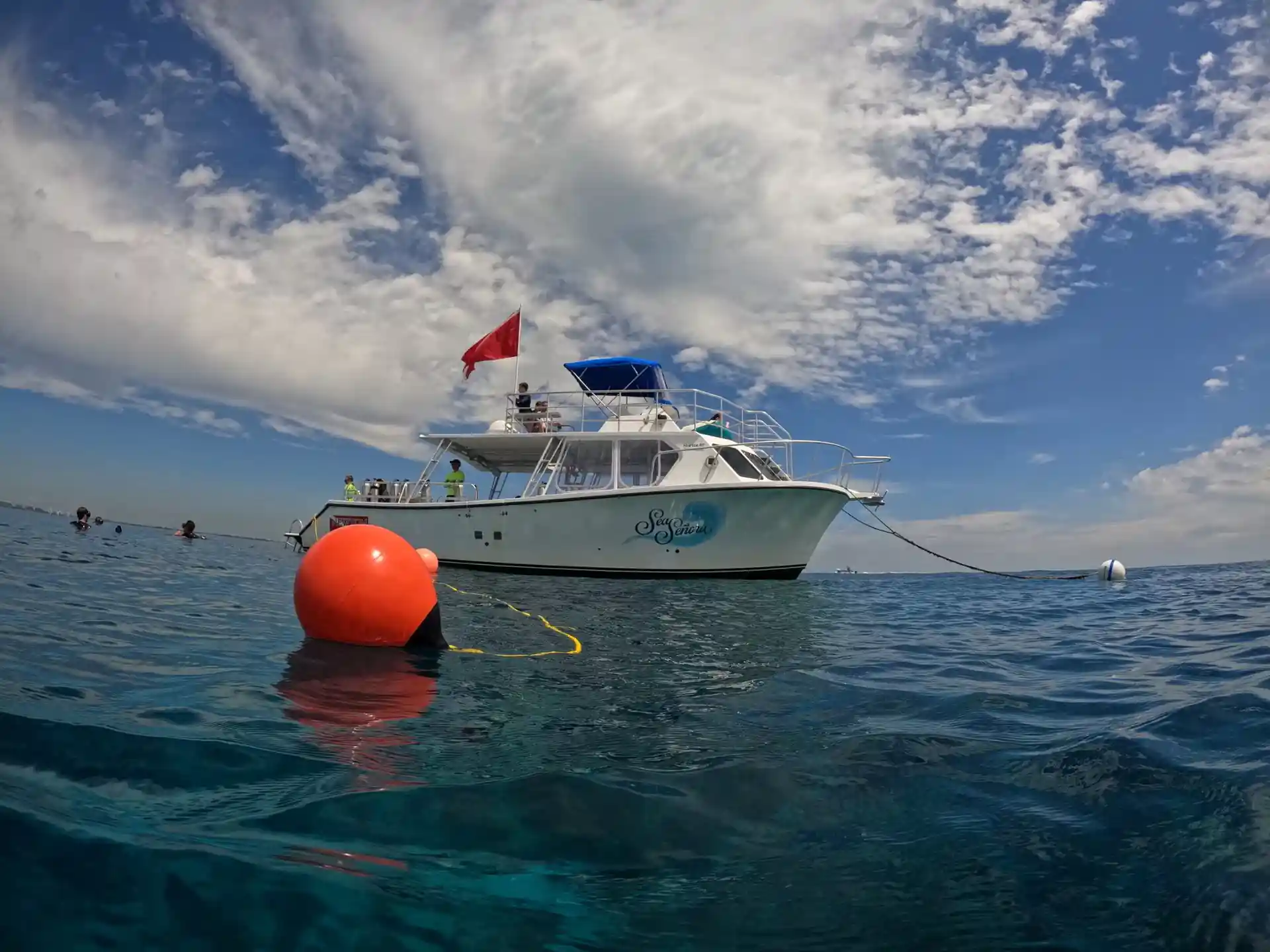 Foto de la actividad