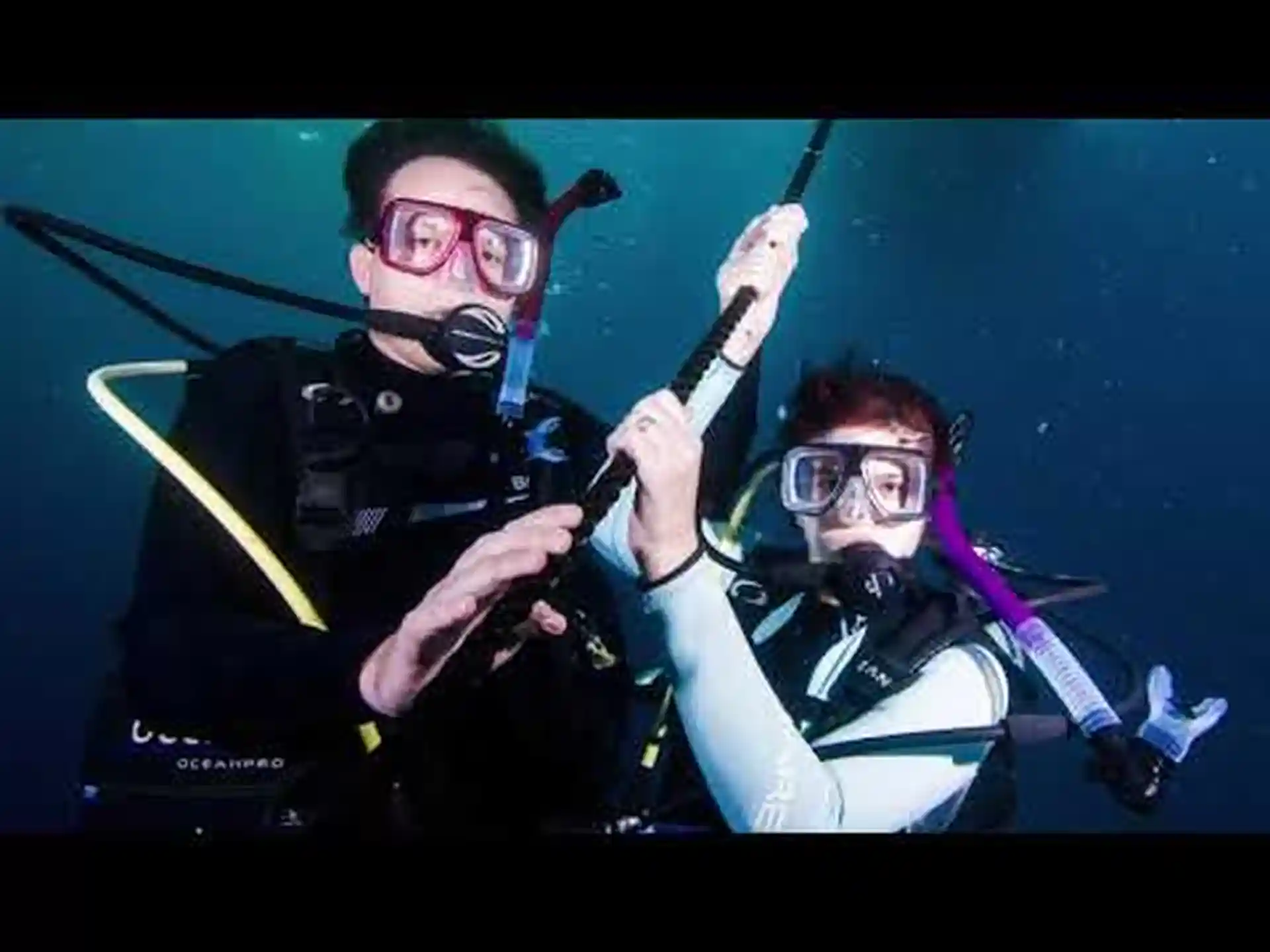 Photo de l'activité