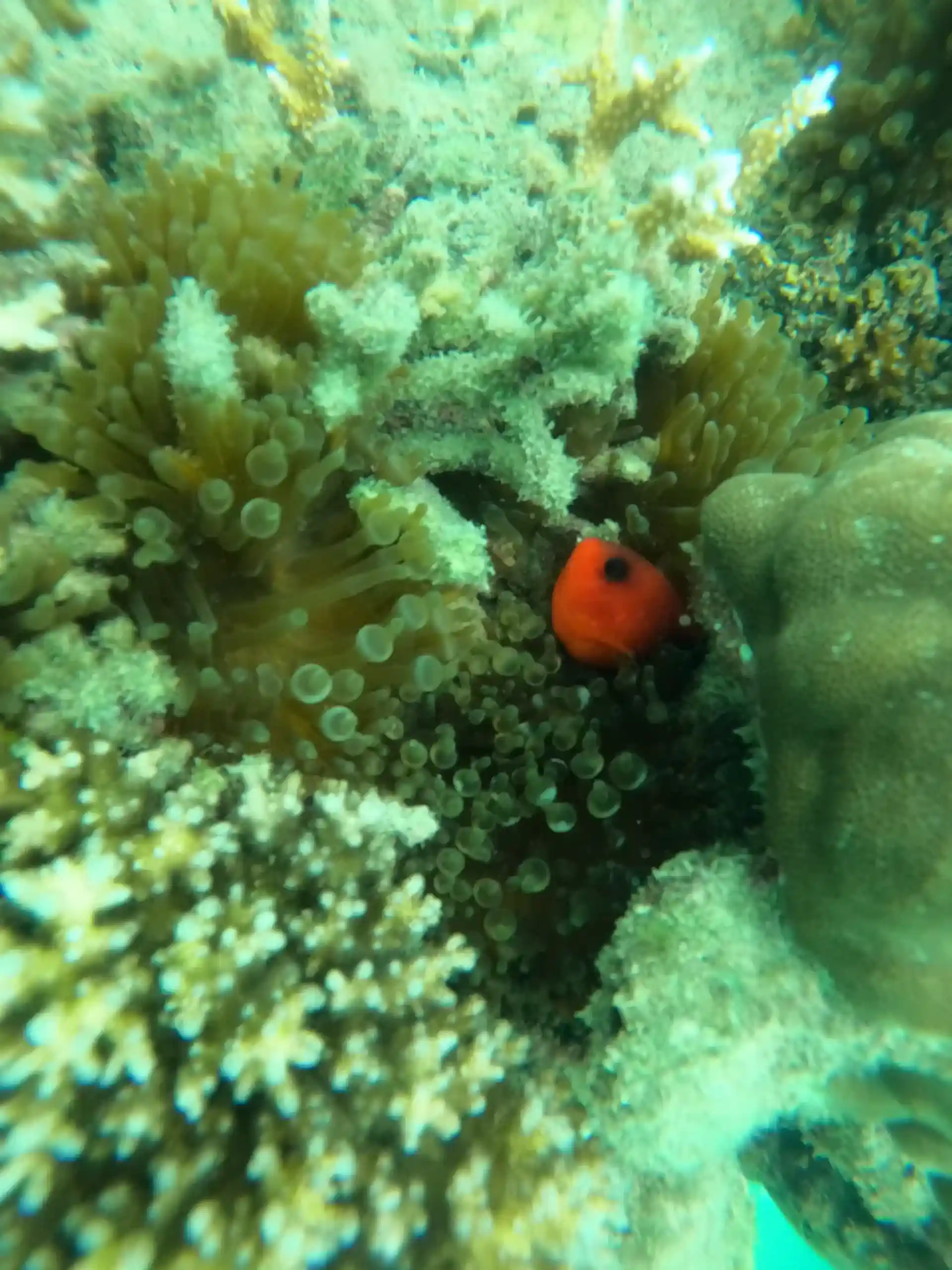 Foto del sitio de buceo