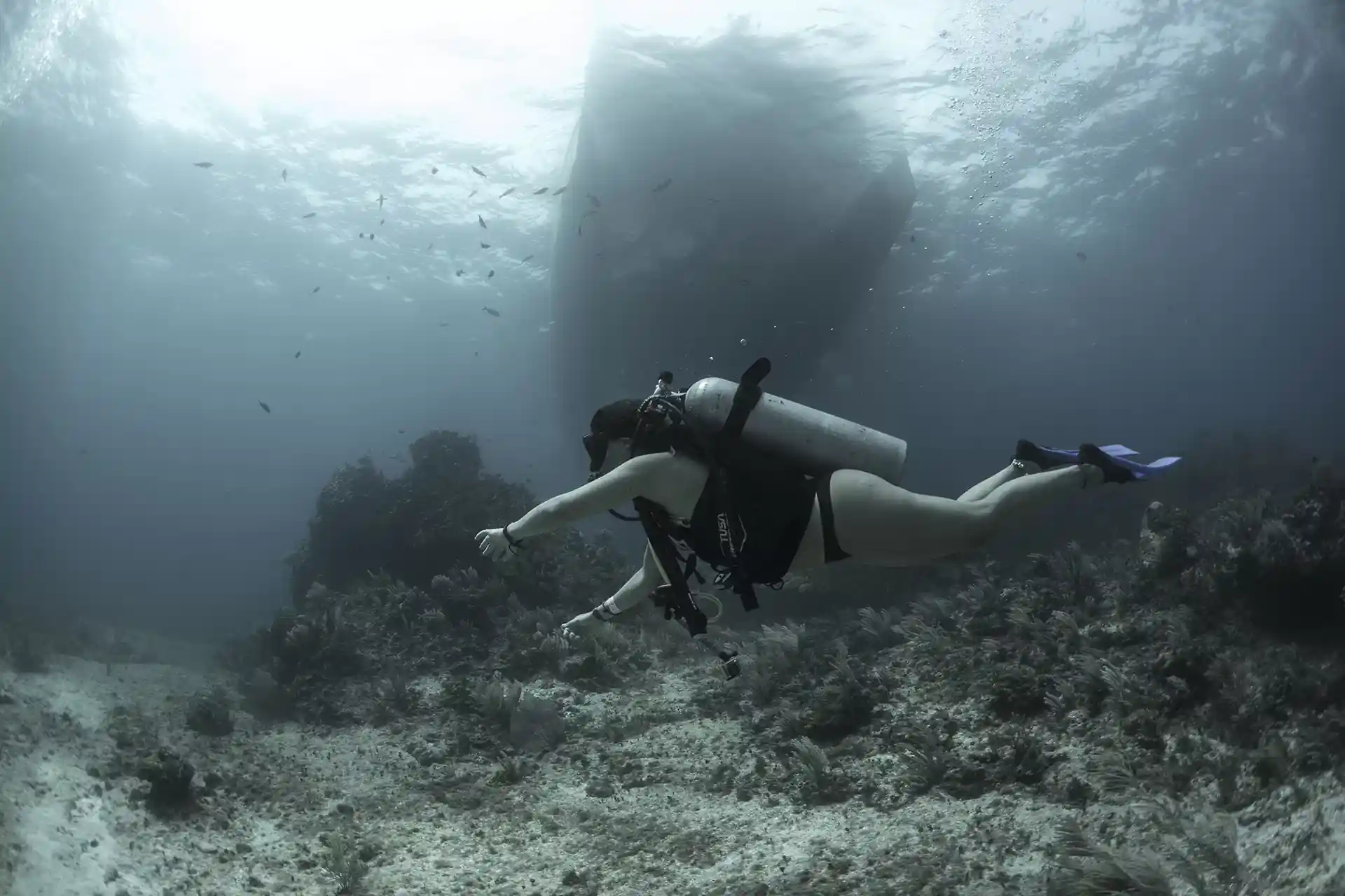 Dive site photo