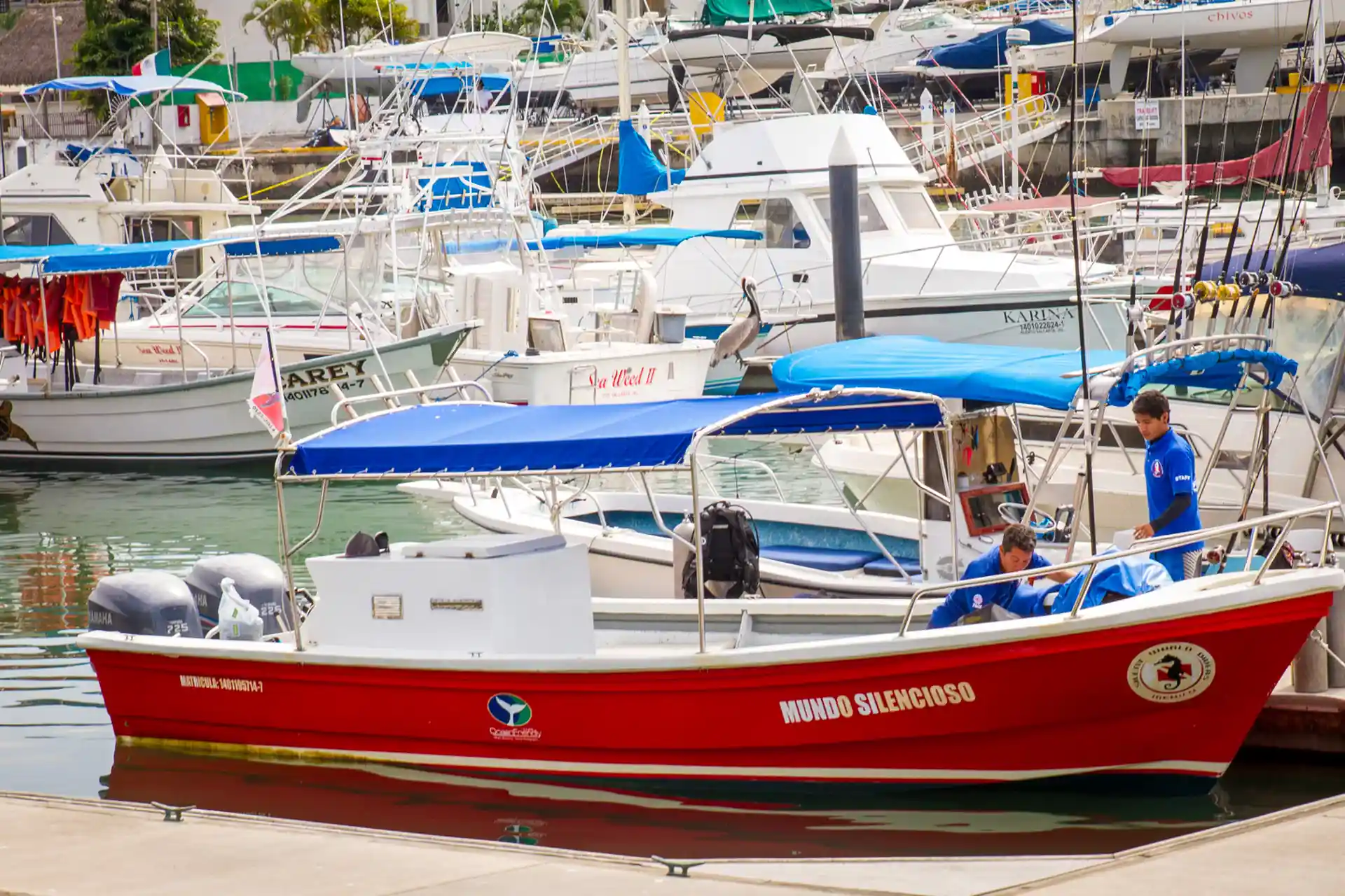 Our fast boats will take you to Los Arcos in a short time.