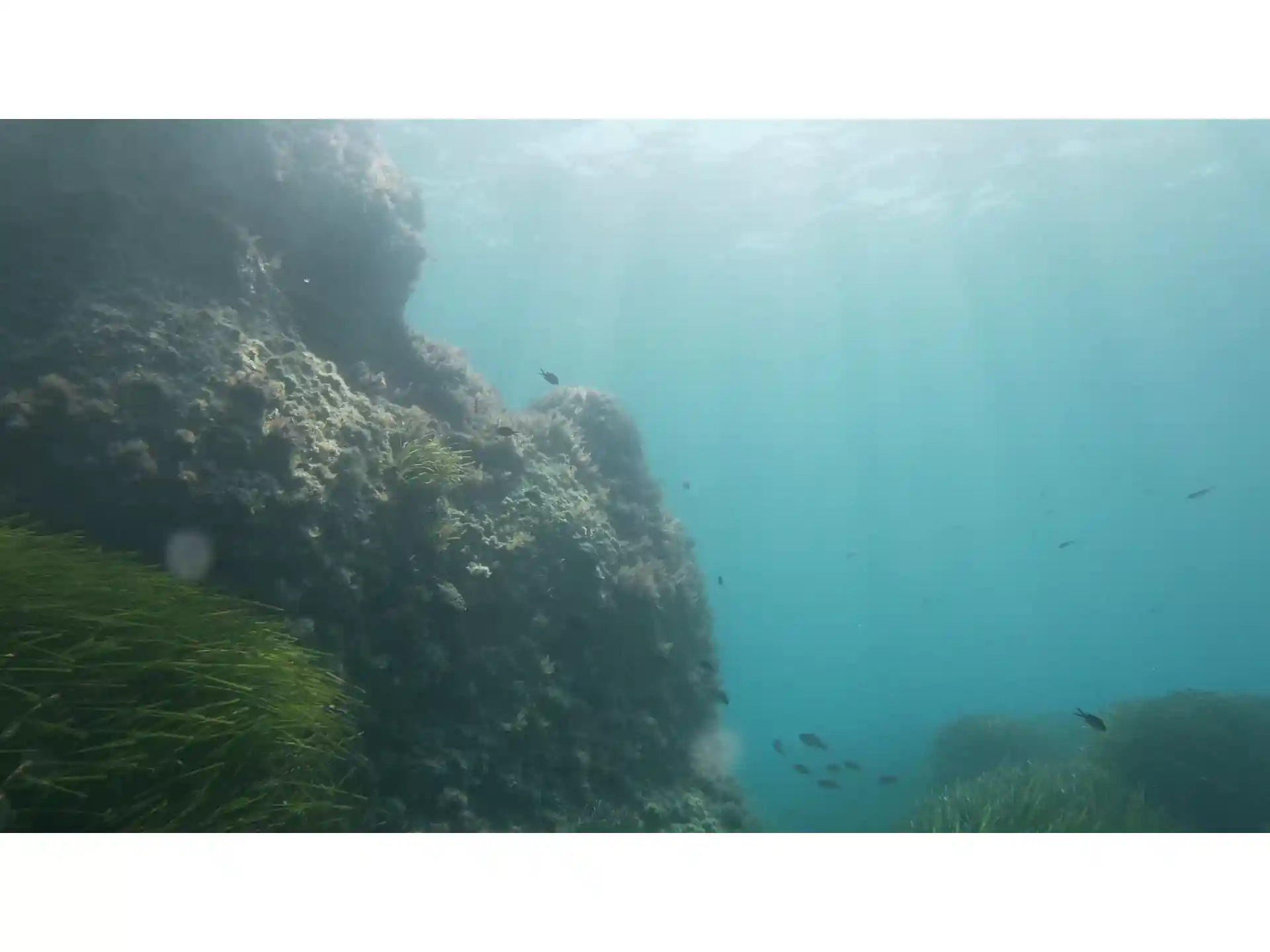 Foto des Tauchplatzes