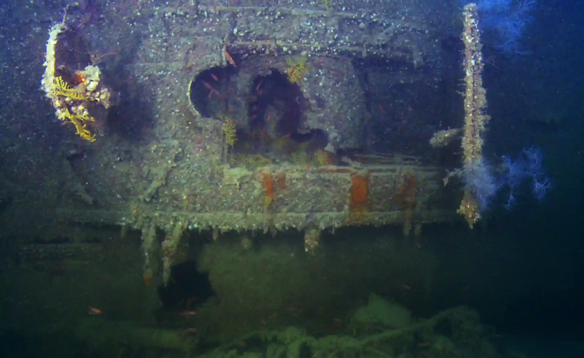 Dive site photo